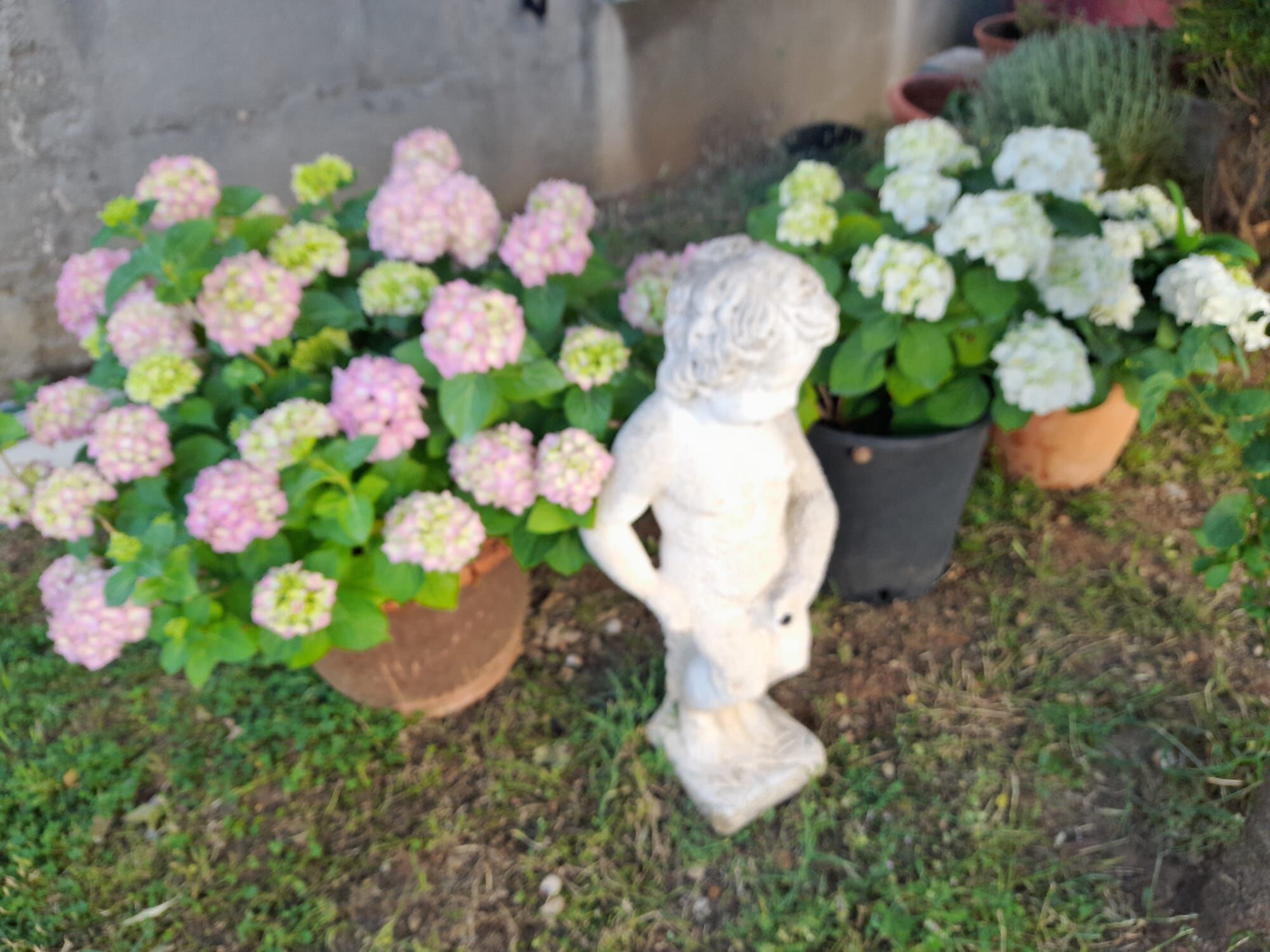 Apartment Dubravka 25781-A1
