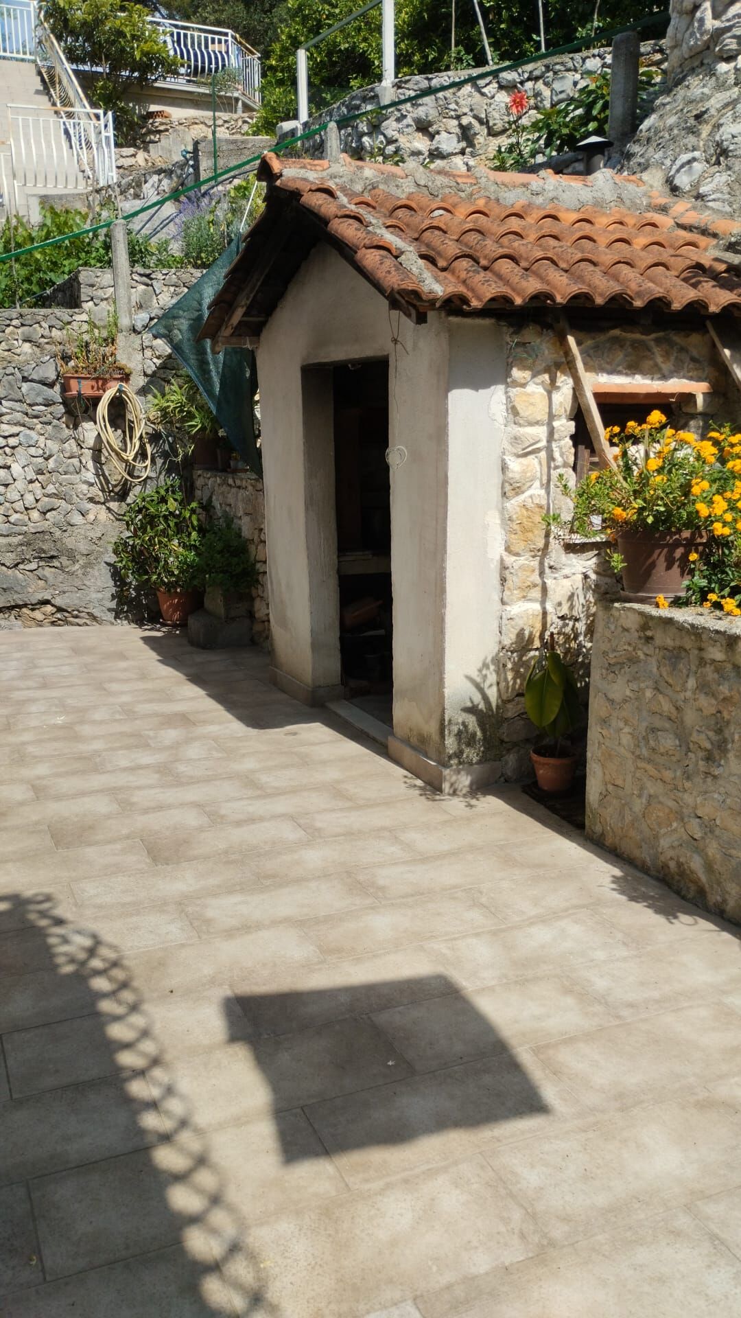 Apartments Mirjana 113351-A1