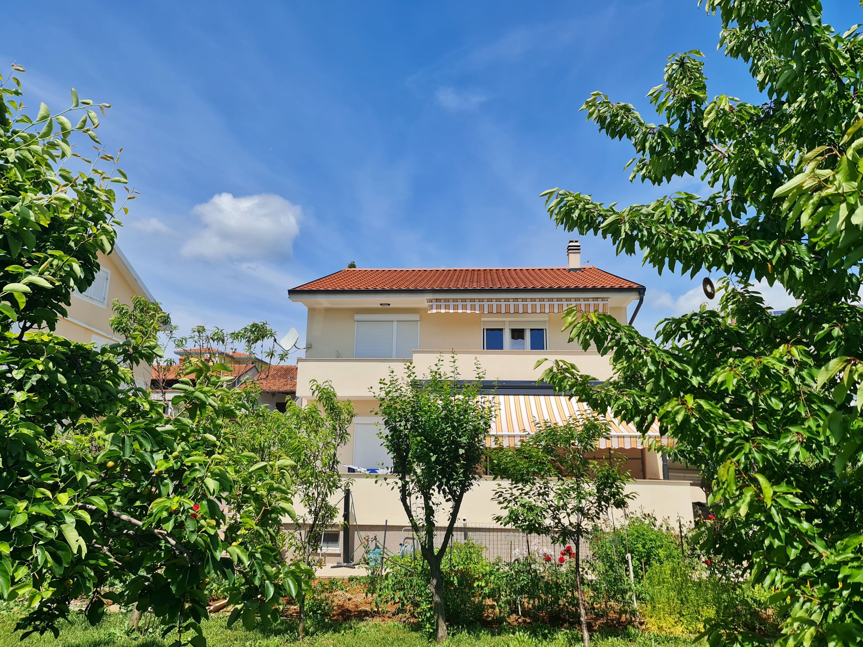 Apartments Citković 64181-A1