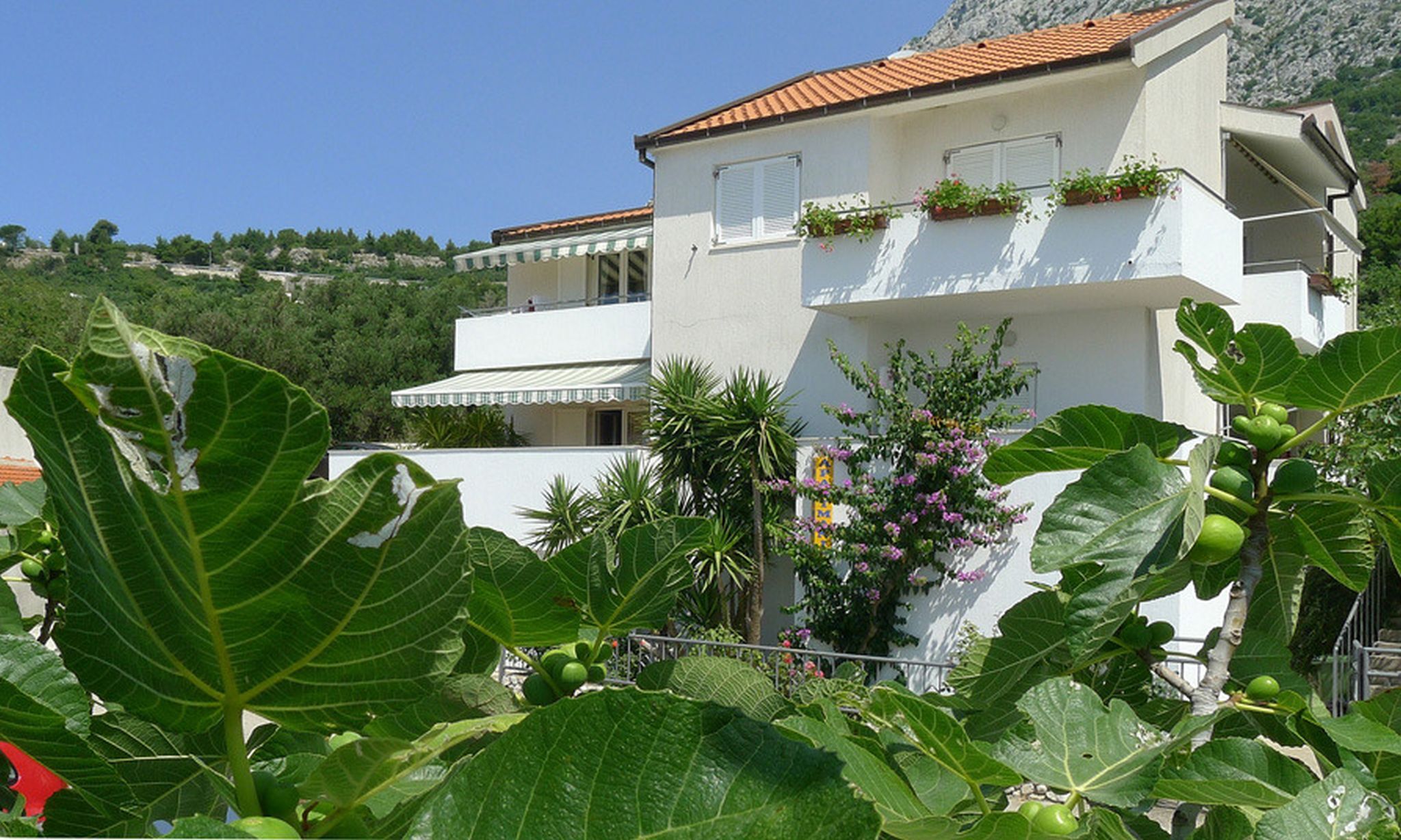 Apartments Gordana 113341-A2