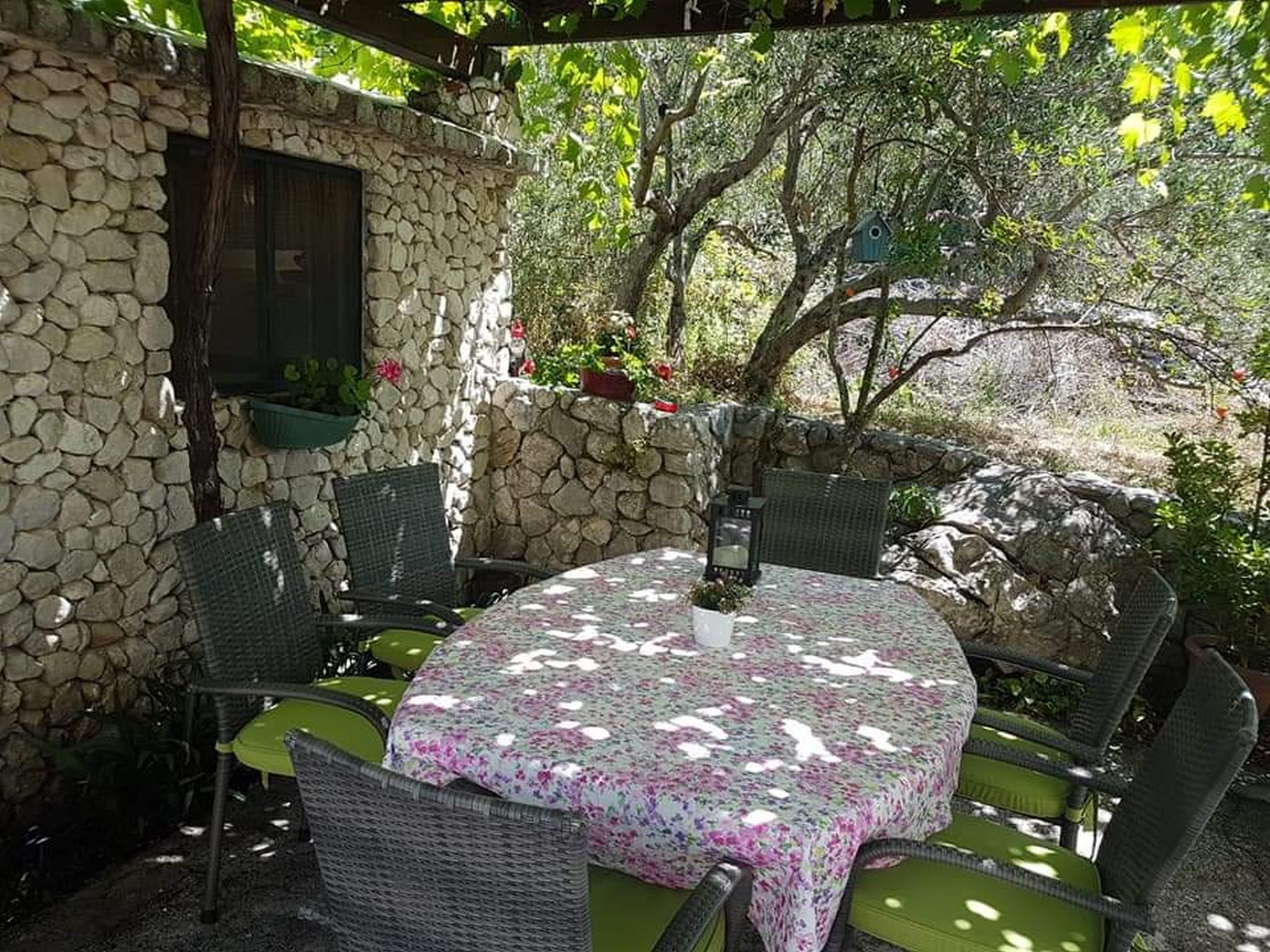 Apartments Gordana 113341-A2