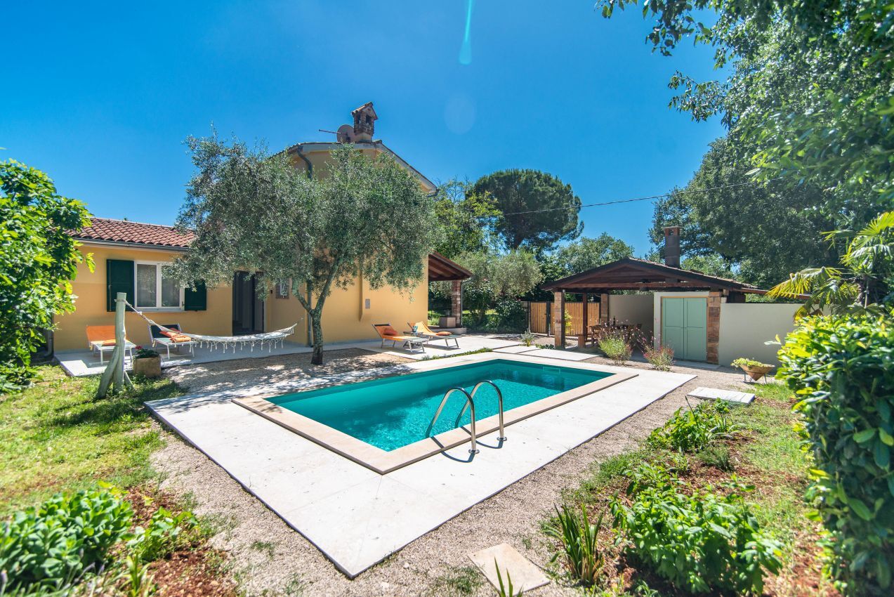 Villa Peronospora V0021-K1