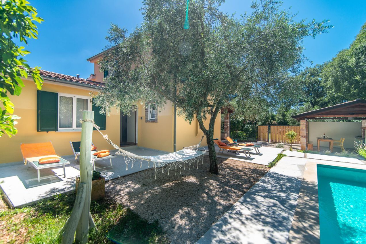 Villa Peronospora V0021-K1