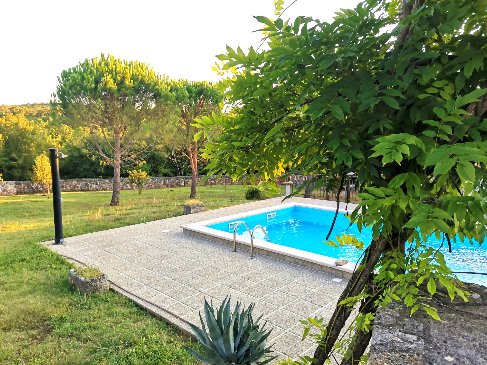 House Green Oasis A4+2 10057-K1