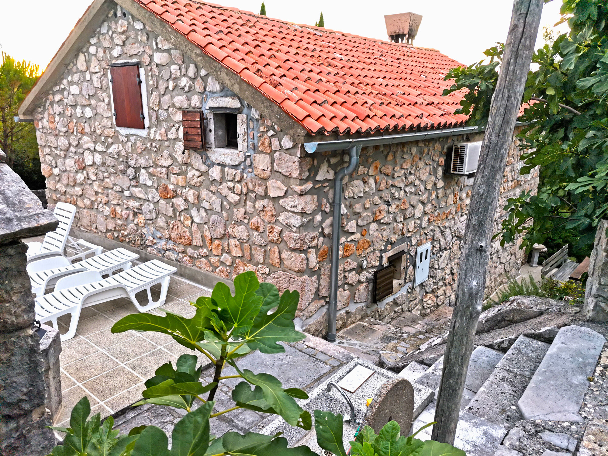House Green Oasis A4+2 10057-K1