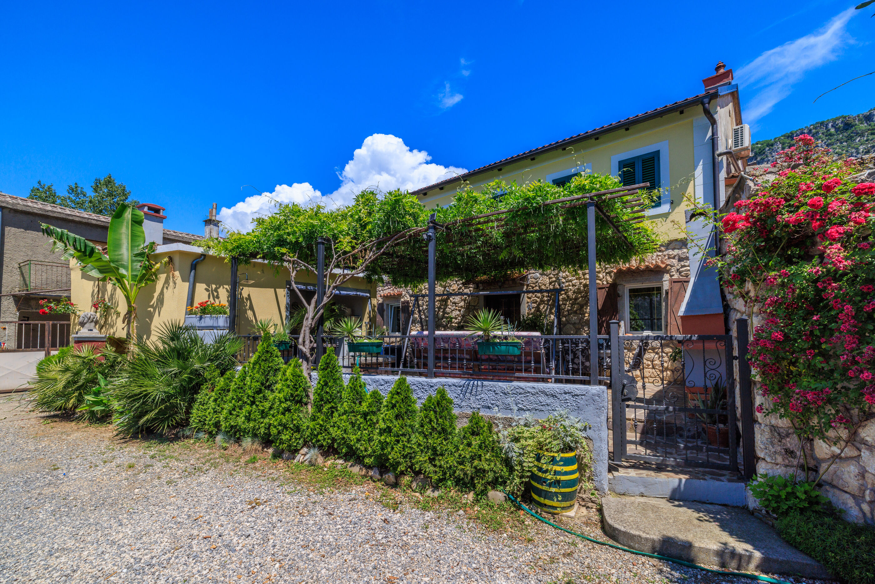 House Sevgi 81371-K1