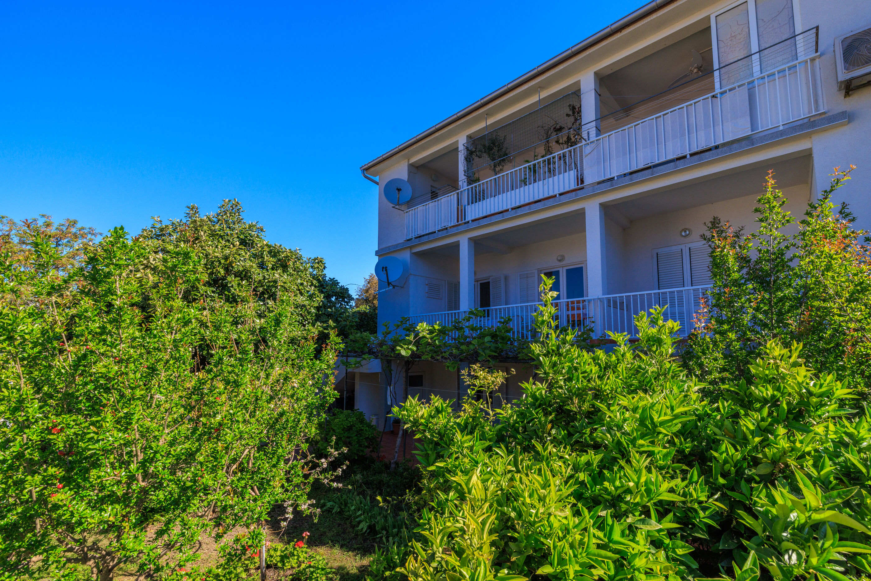 Apartment Nevenka 65372-A1