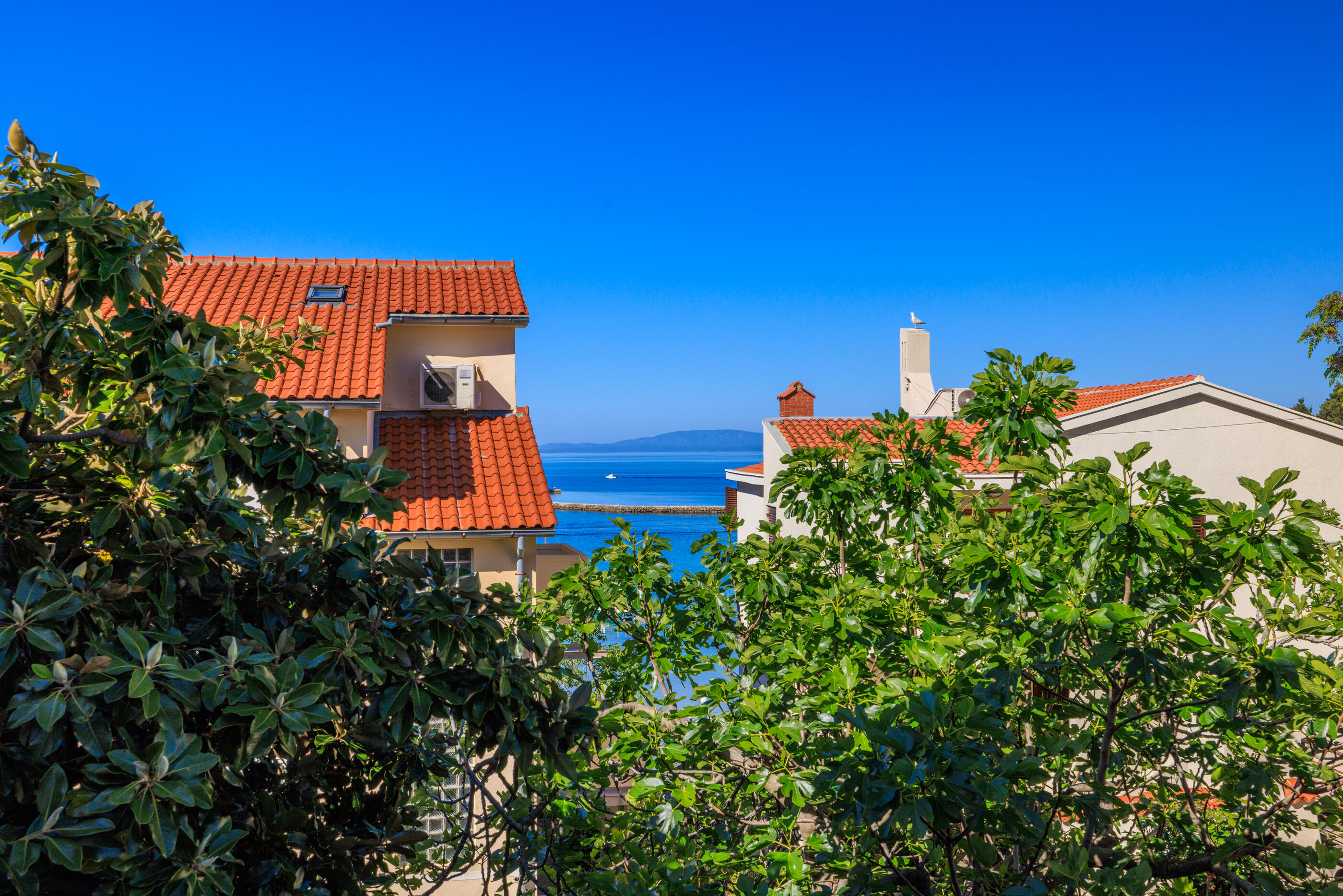 Apartment Nevenka 65372-A1