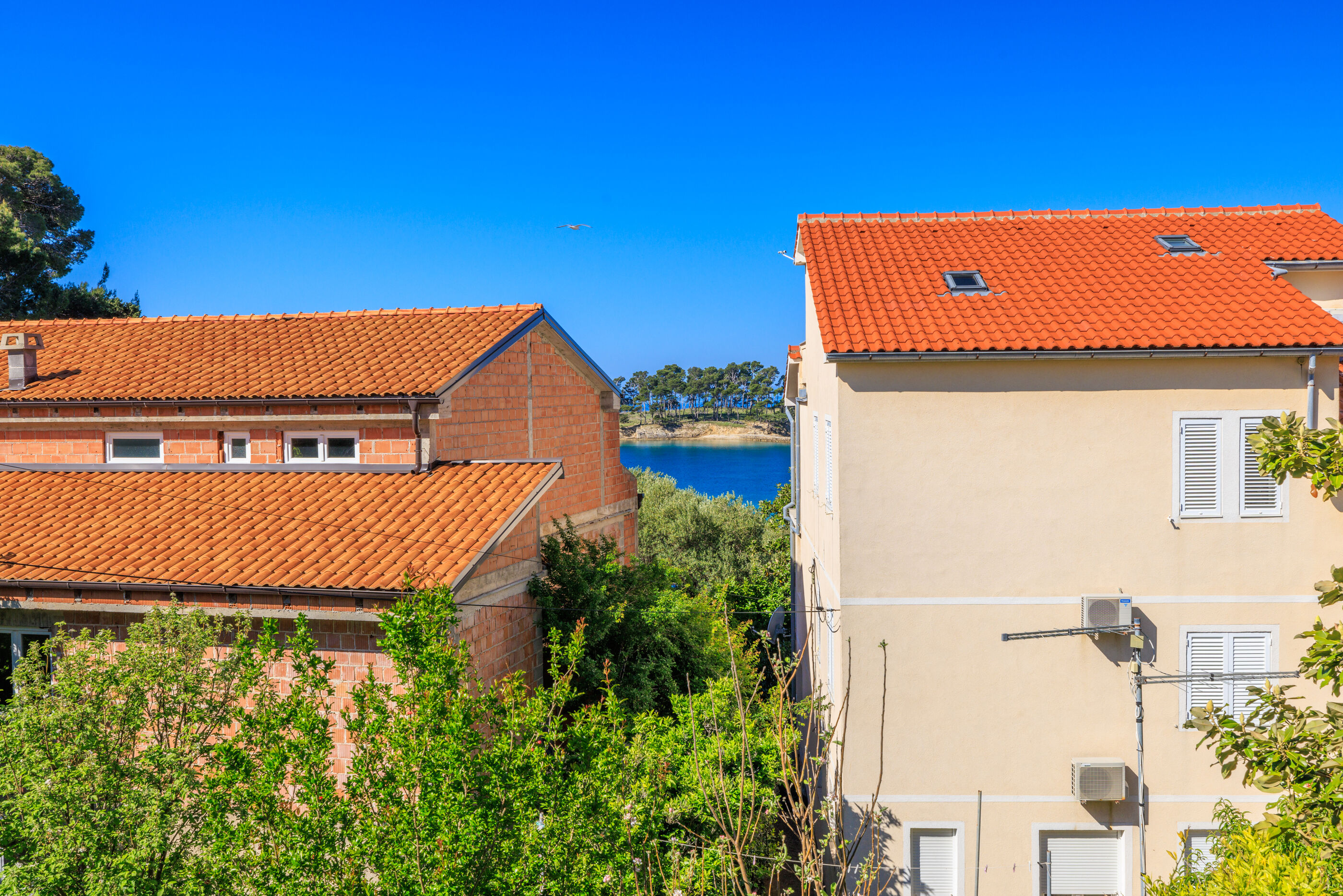 Apartment Nevenka 65372-A1
