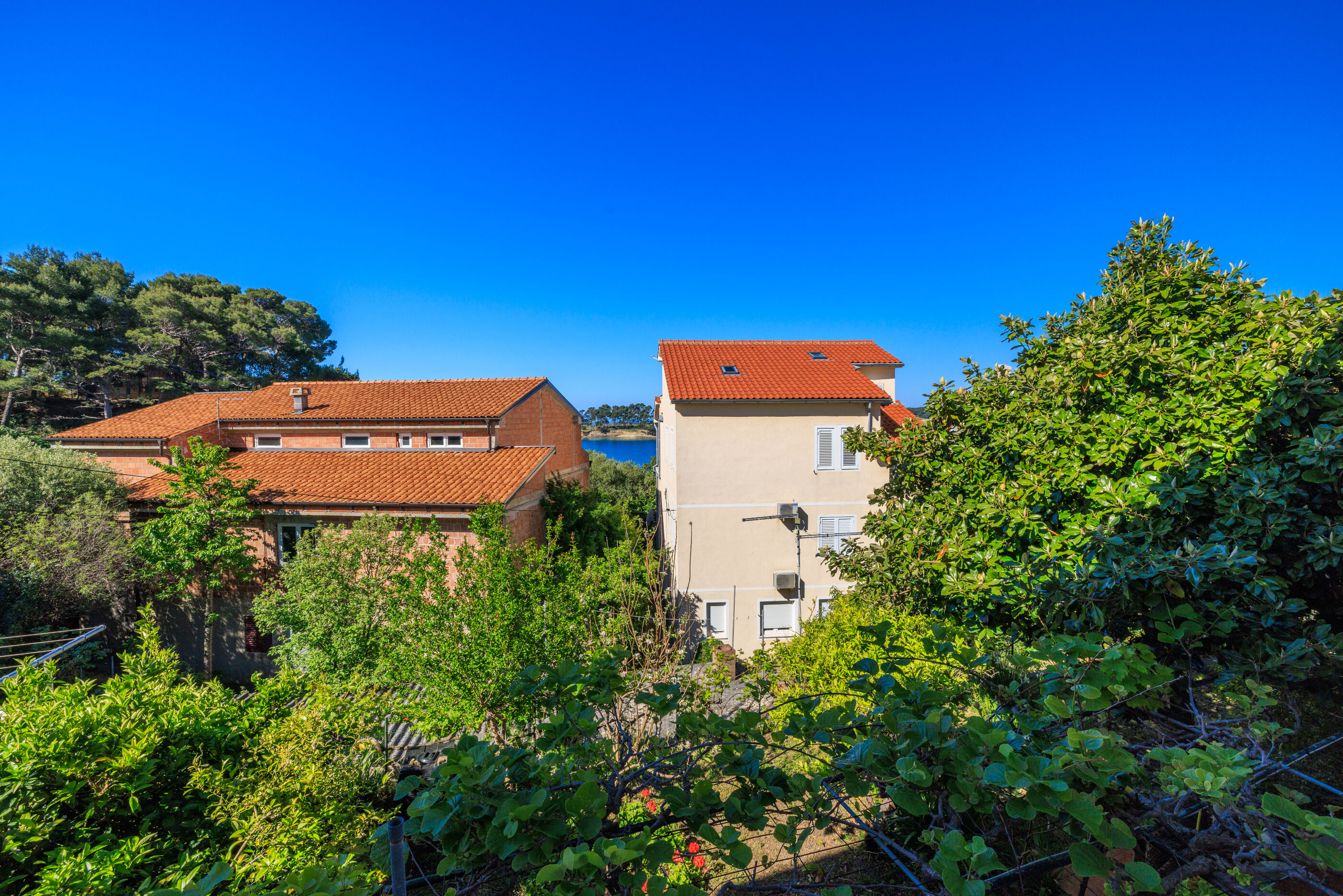 Apartment Nevenka 65372-A1