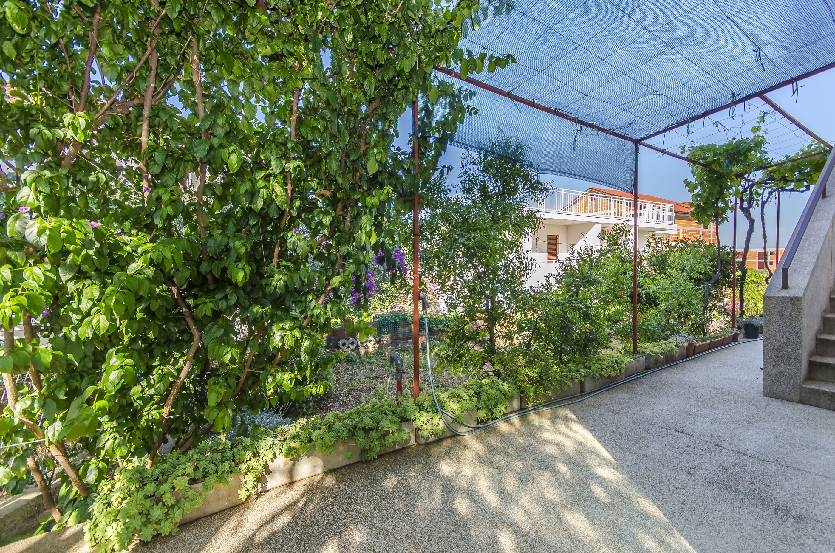 Apartment Spacious Terrace 113501-A1