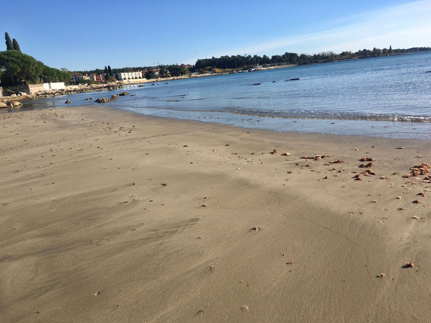 Photo of Apartment Anchy