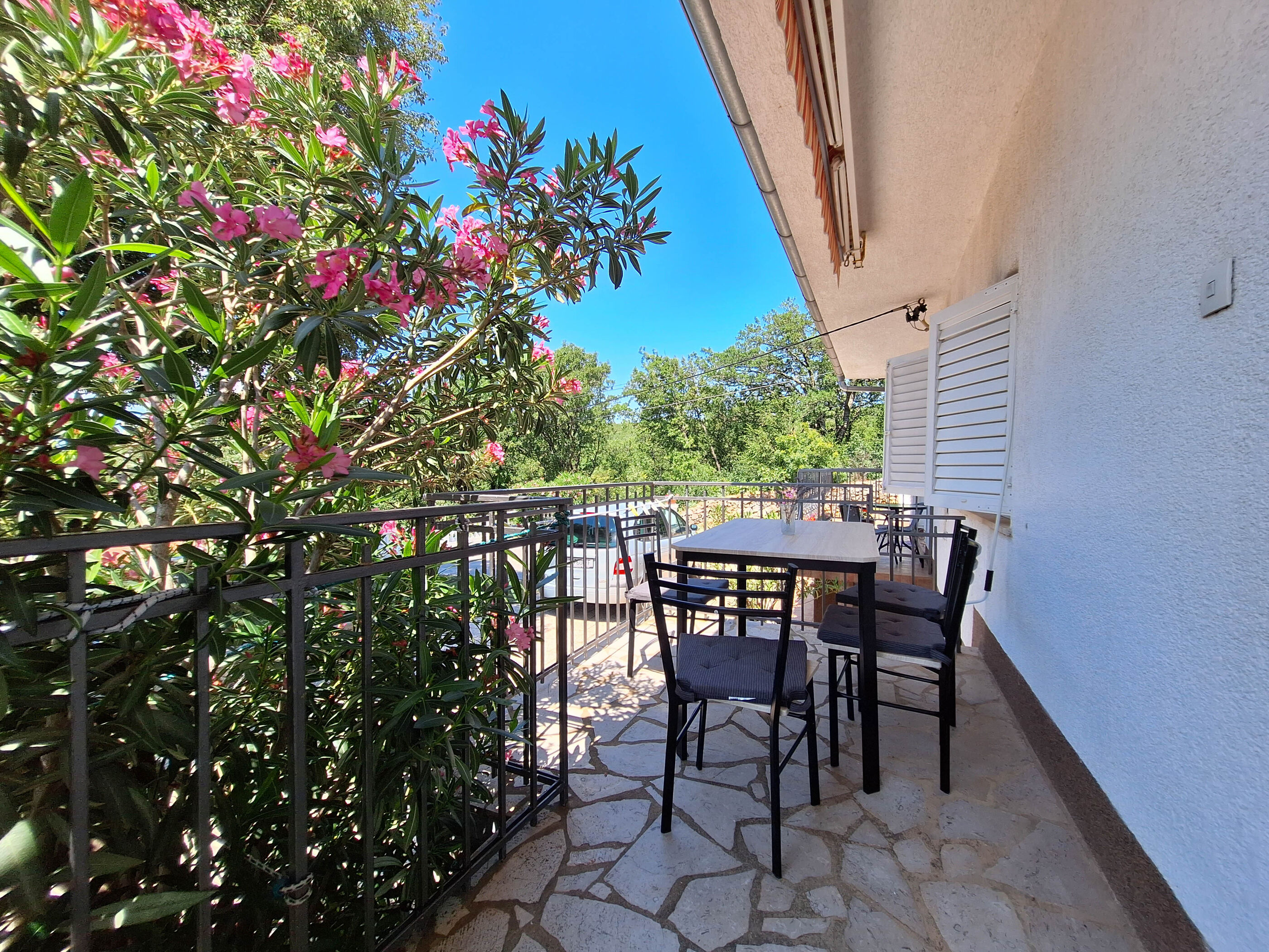 Apartment EMMA 113511-A1