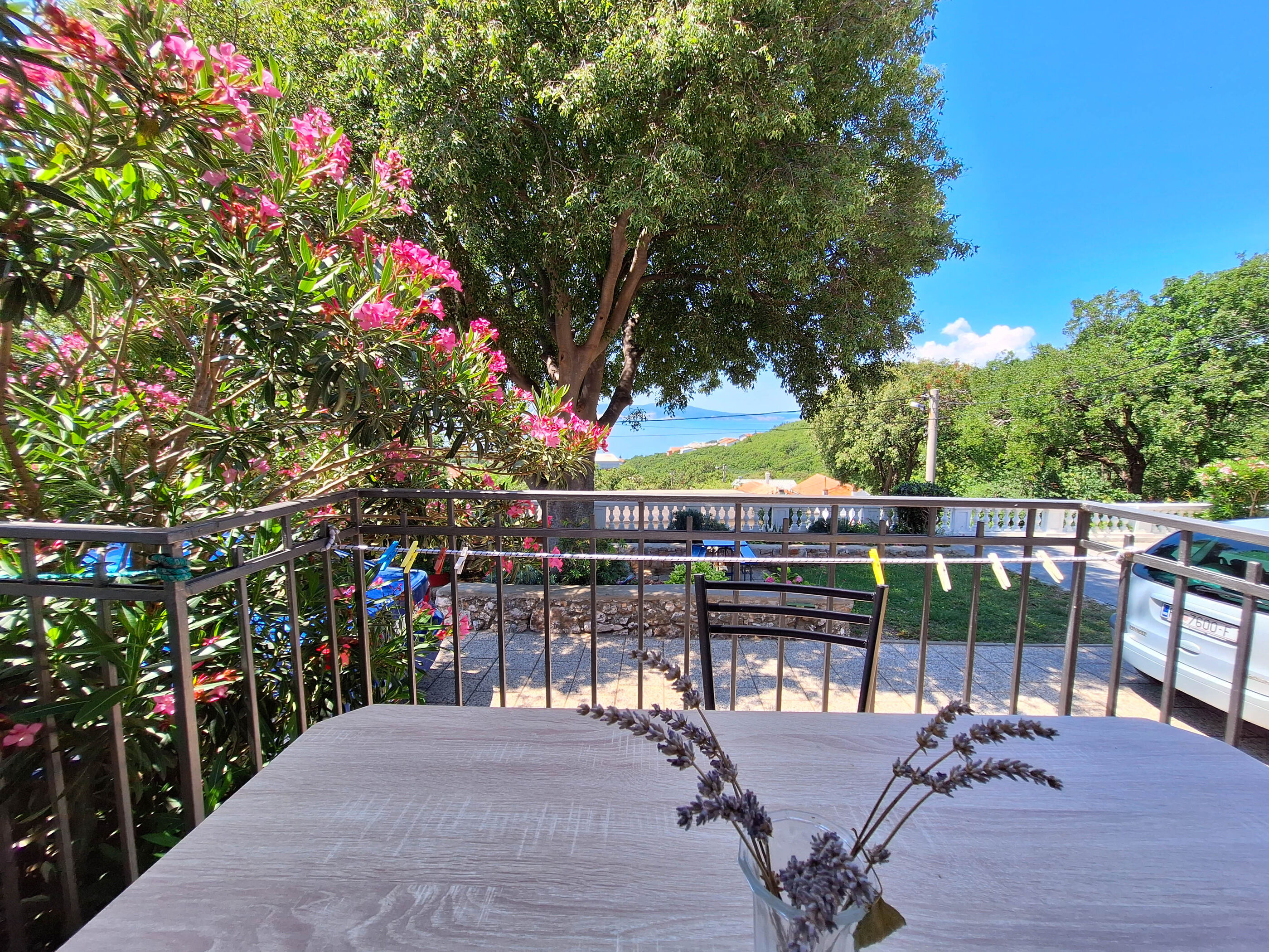 Apartment EMMA 113511-A1