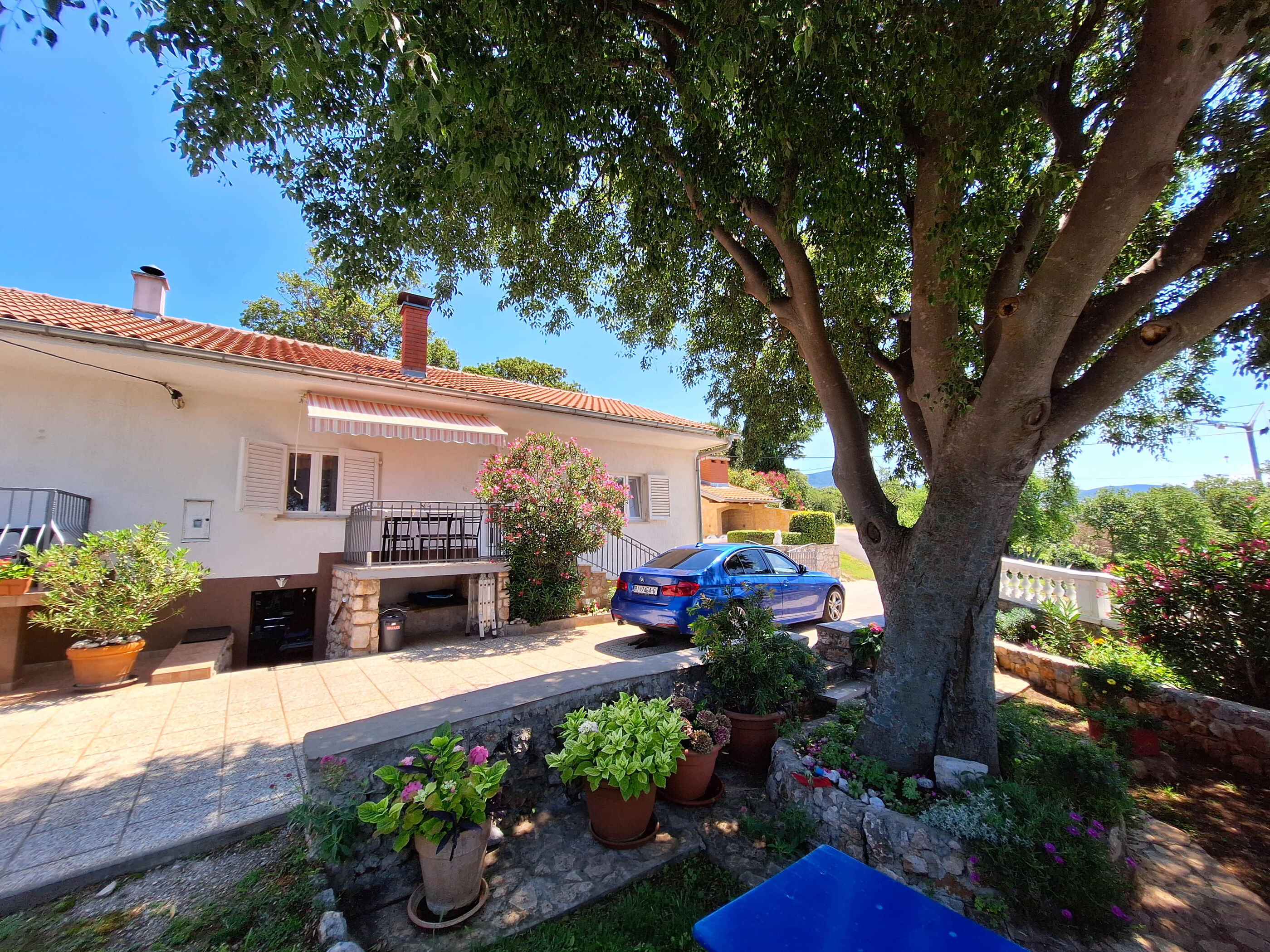 Apartment EMMA 113511-A1
