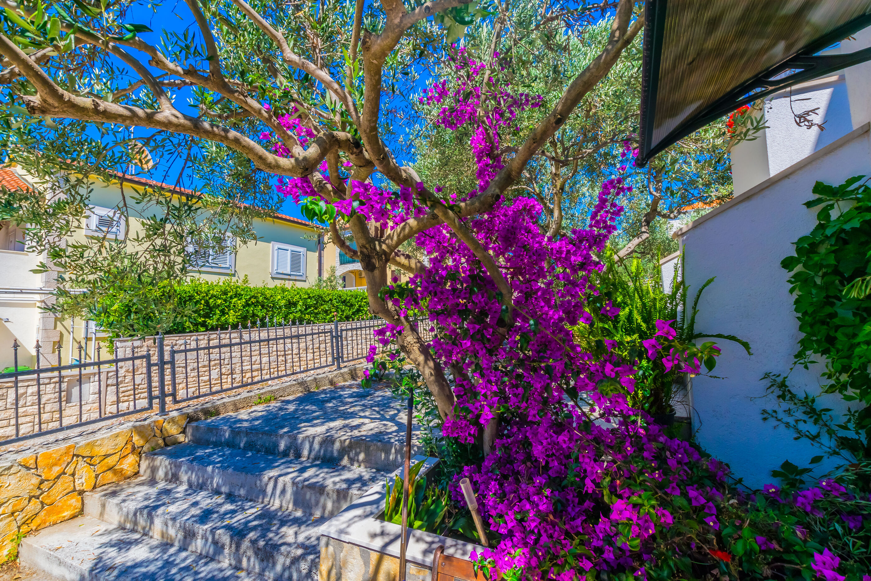 Apartment Jadranka 113471-A1