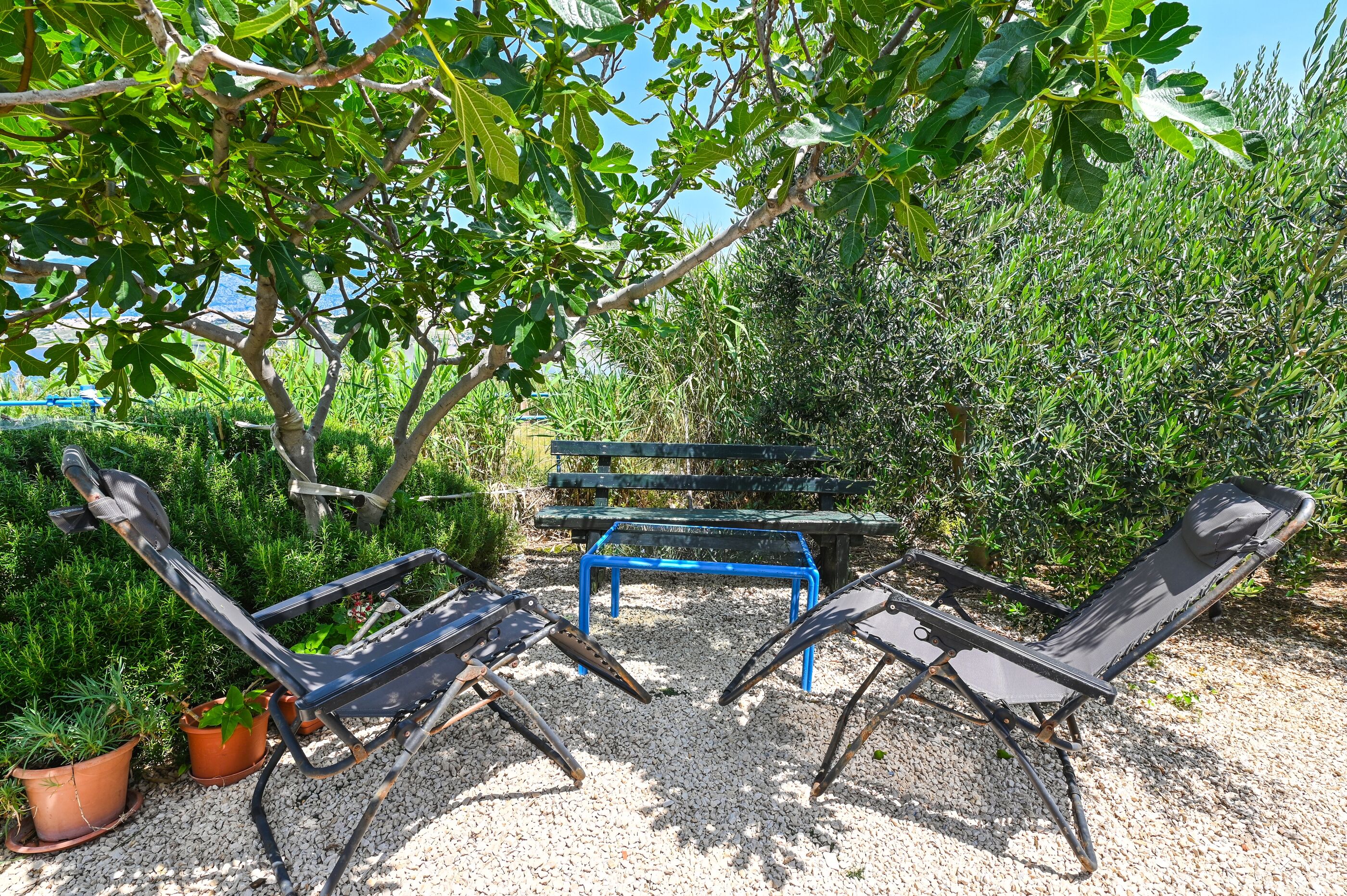 House Silvijo 89891-K1