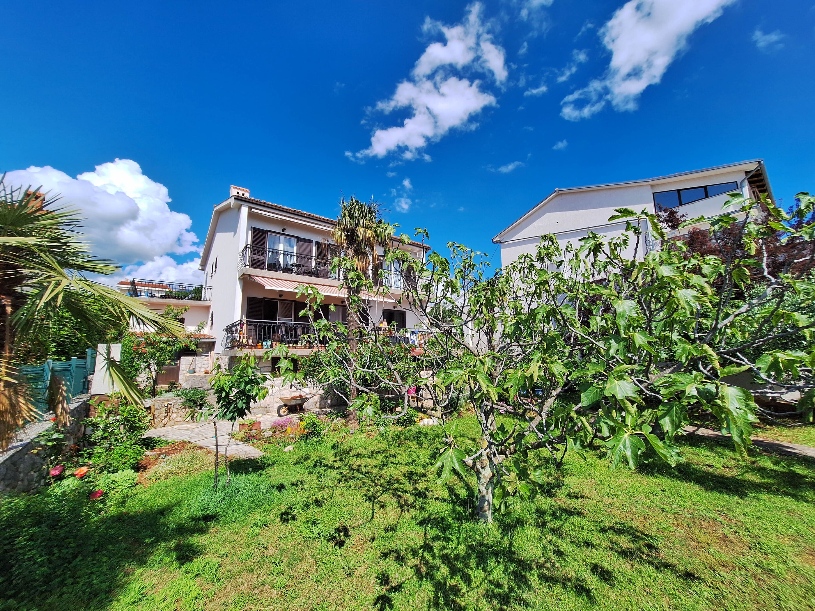 Apartment Fruk 113512-A1