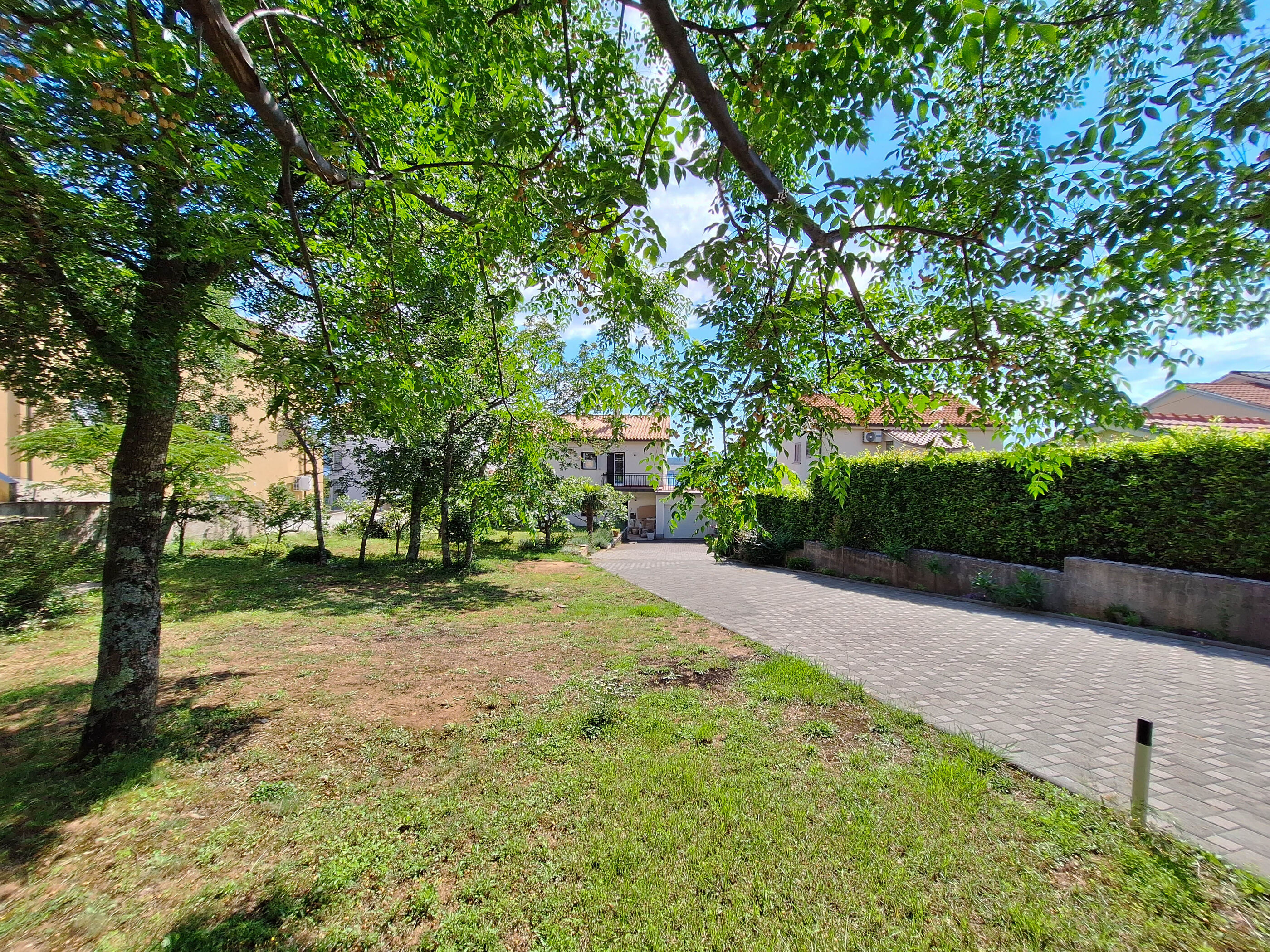 Apartment Fruk 113512-A1