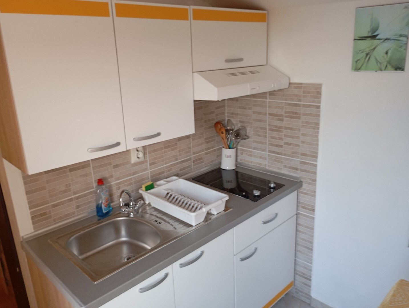 Apartments Ivo 103751-A1