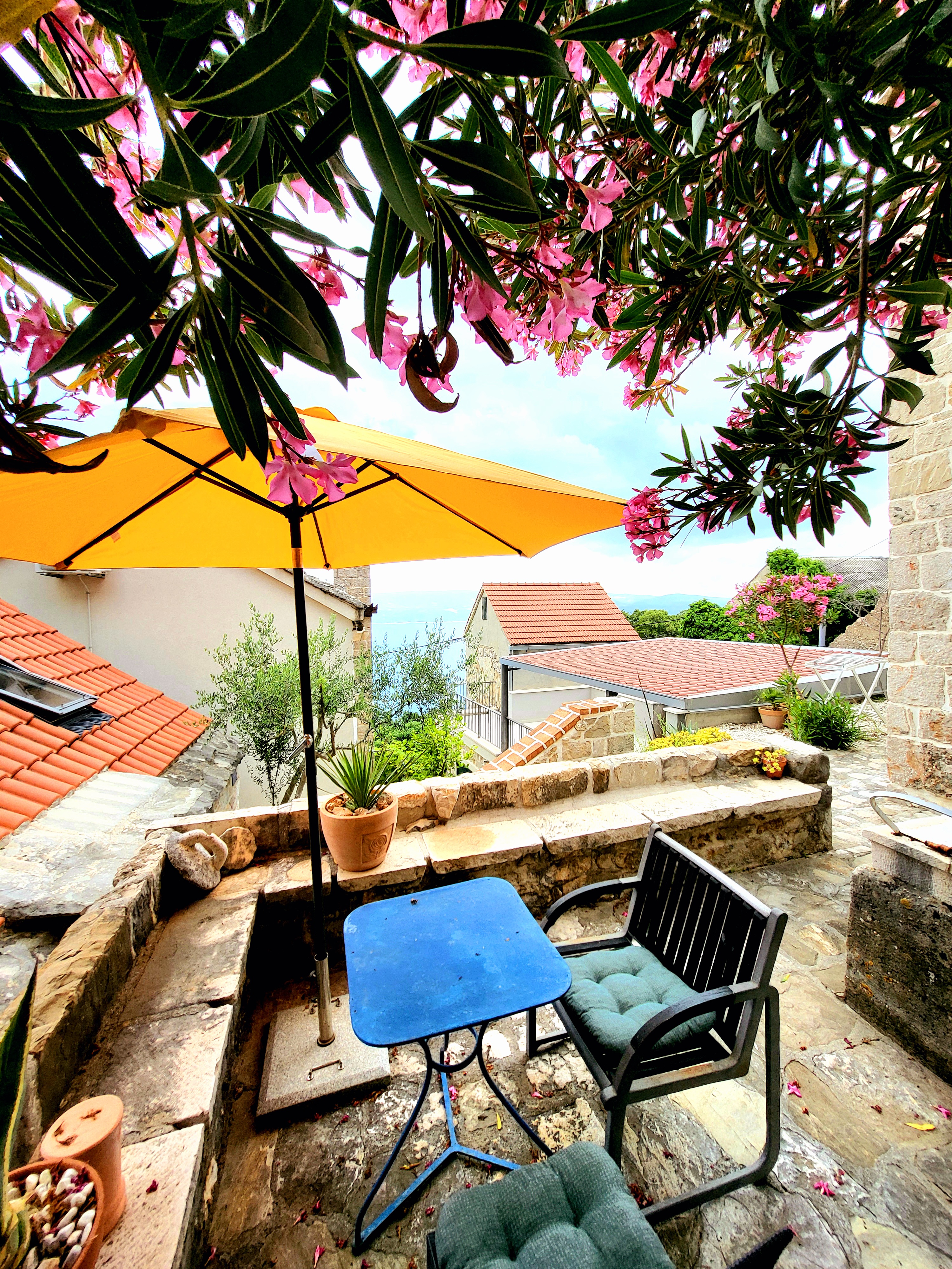 House Cottage 16401-K1