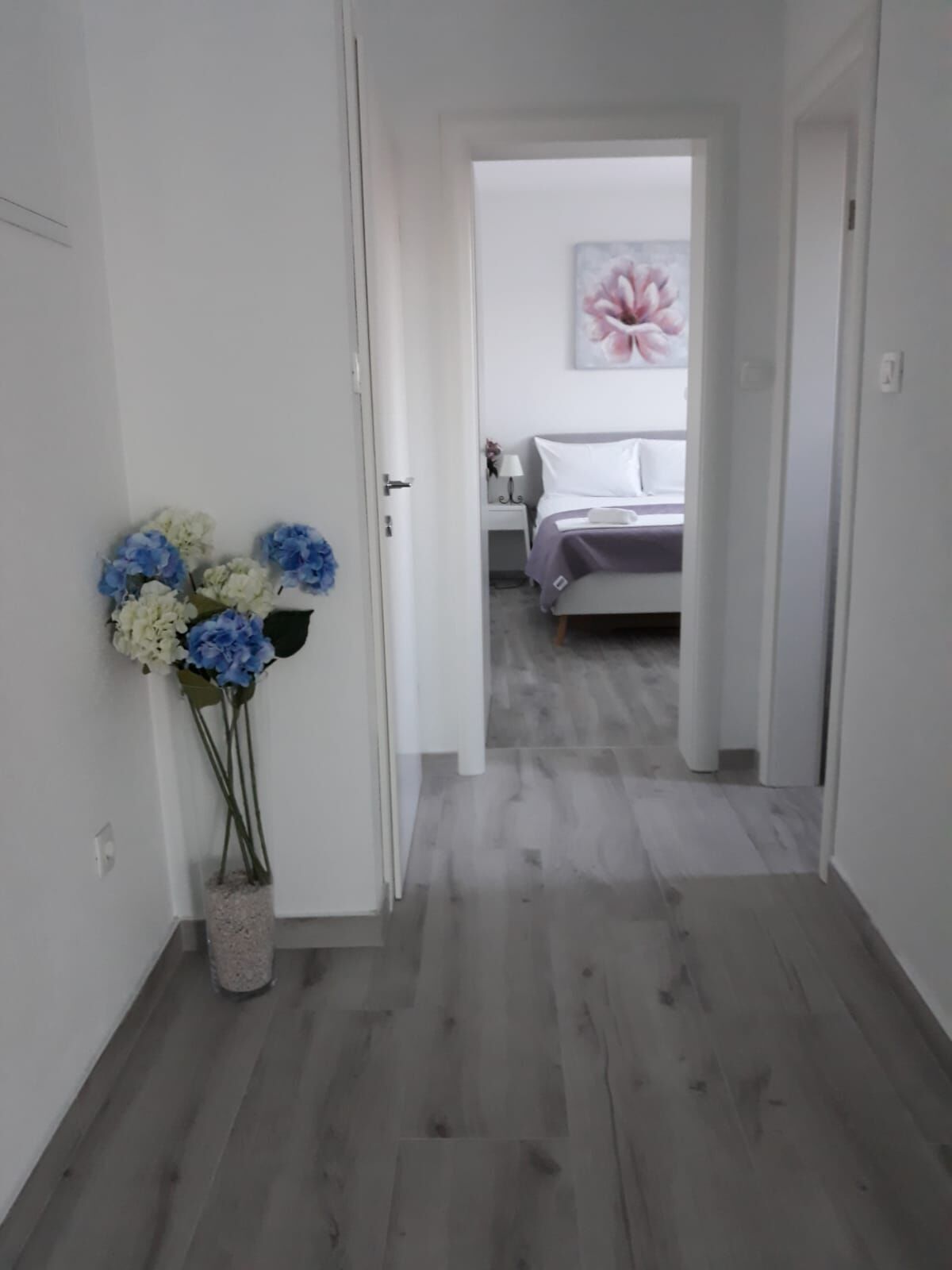 Apartments Seaside apartments Polić 82541-A4
