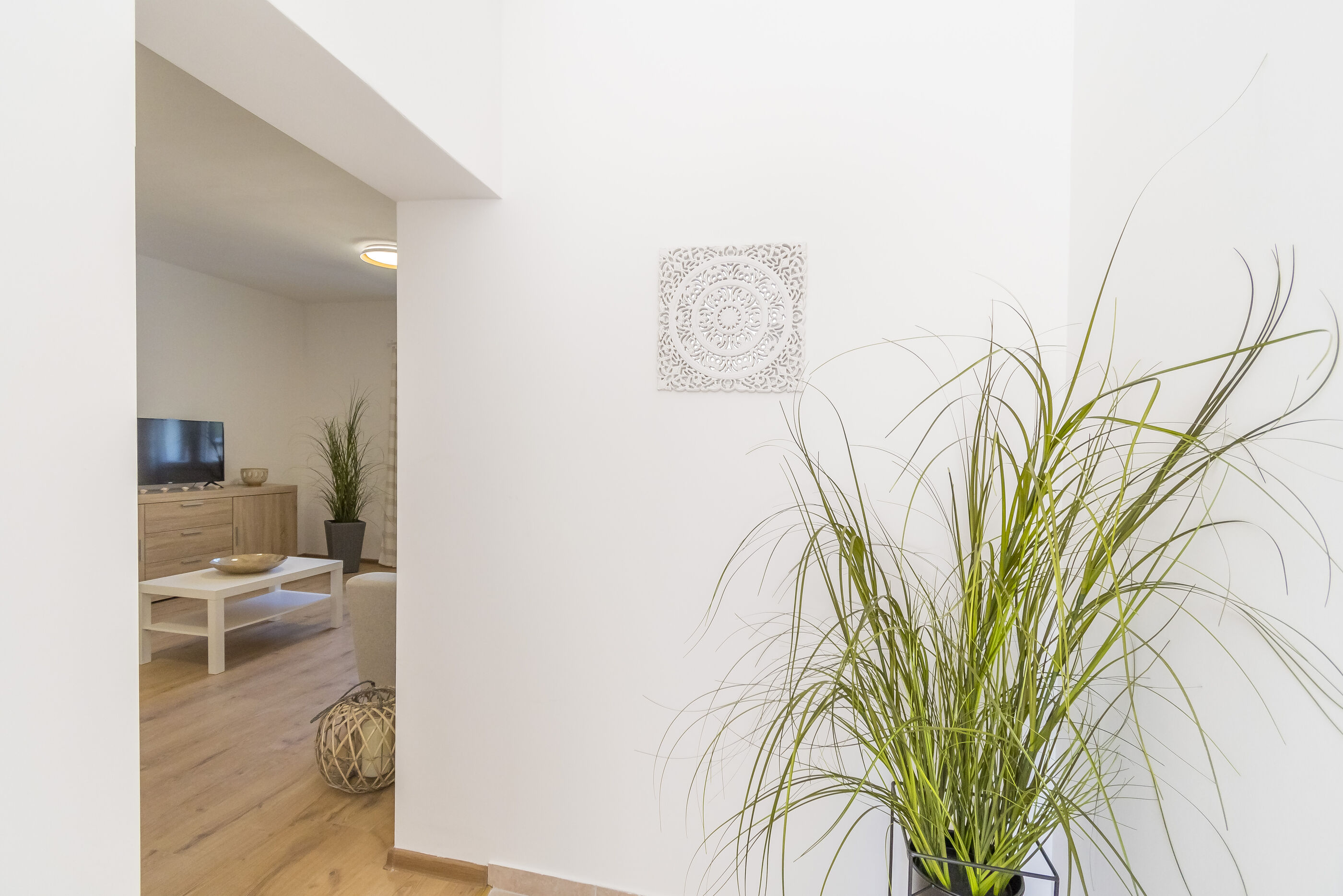 Apartments Villa Katarina 113771-A1