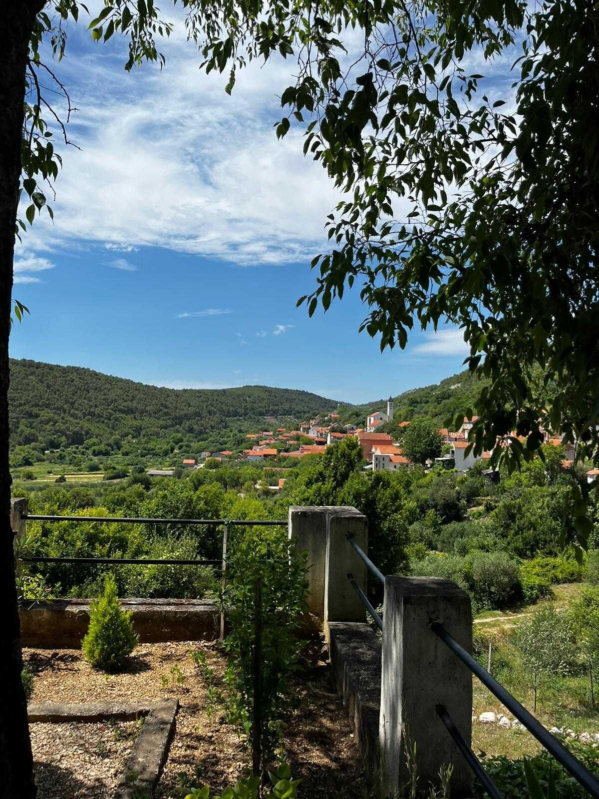 Apartments Villa Katarina 113771-A2