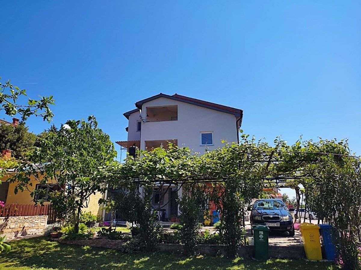 Pavao 74313-A1