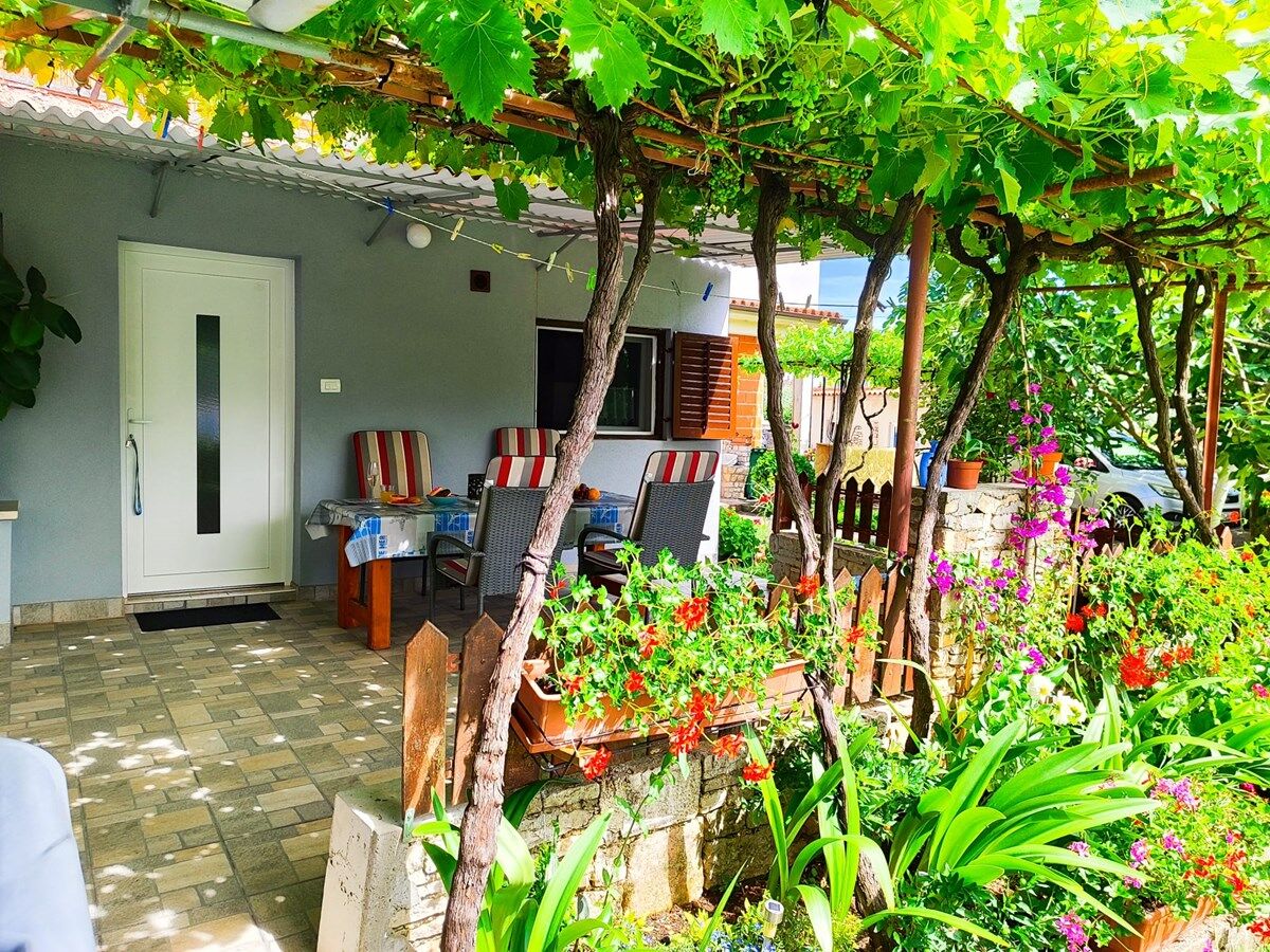 Casa Pavao 73794-K1