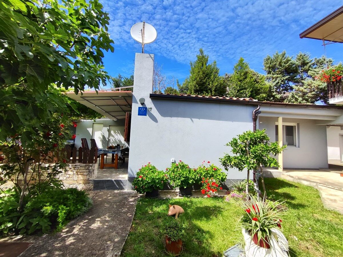 Casa Pavao 73794-K1