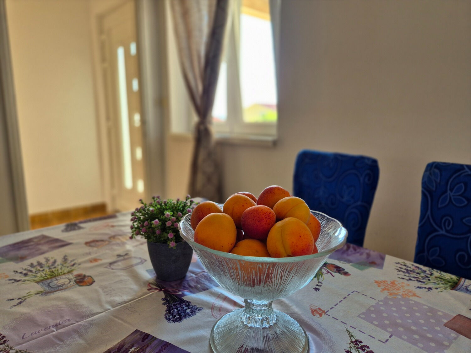 Apartments Josi 10955-A2