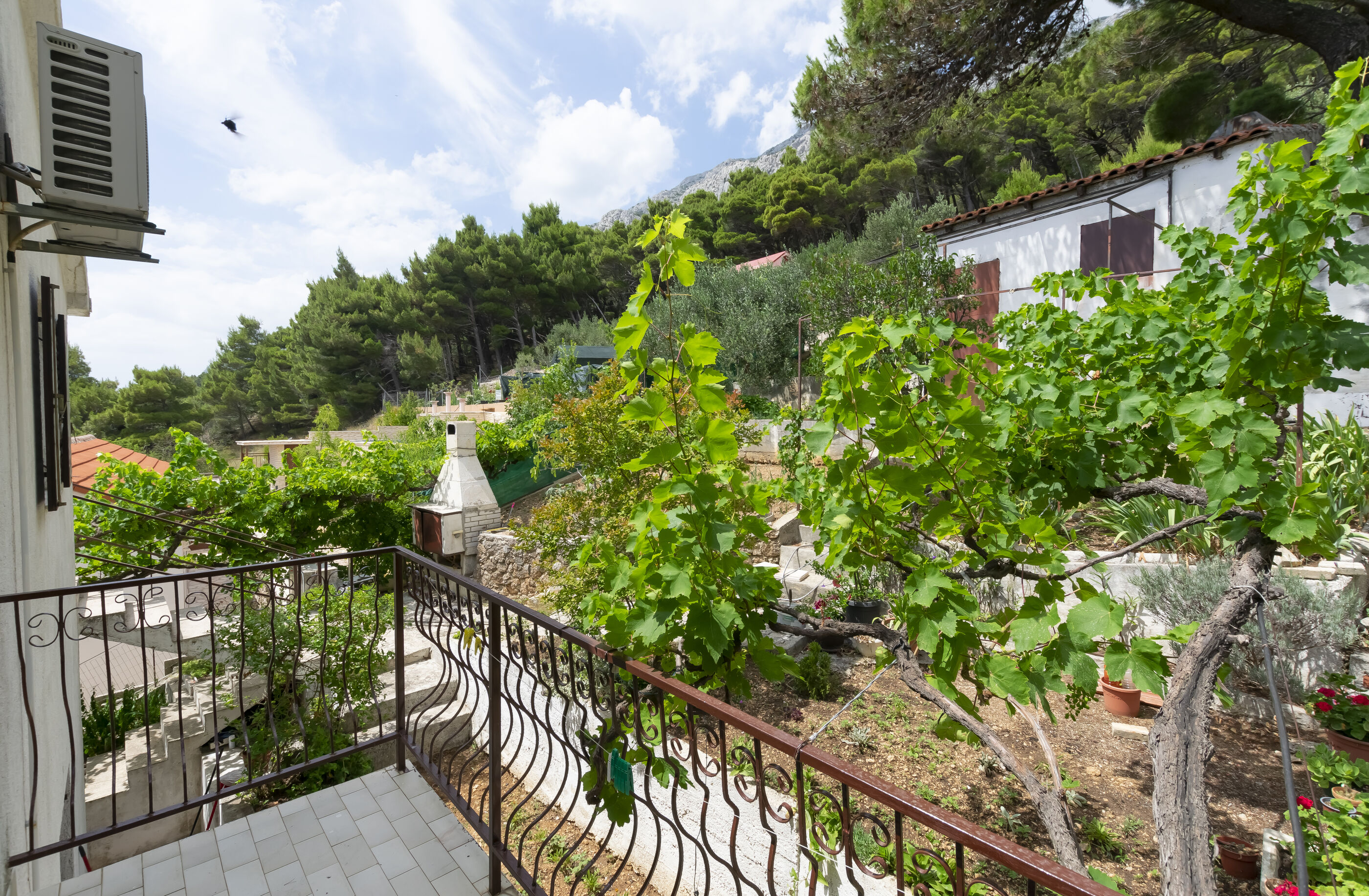 Apartments Andi 113681-A2
