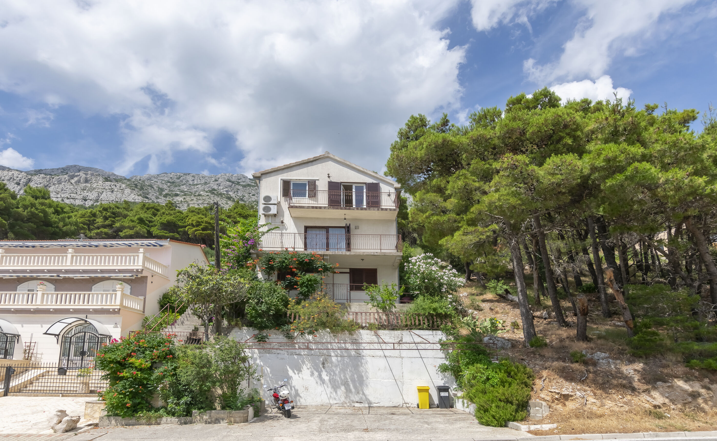 Apartments Andi 113681-A1