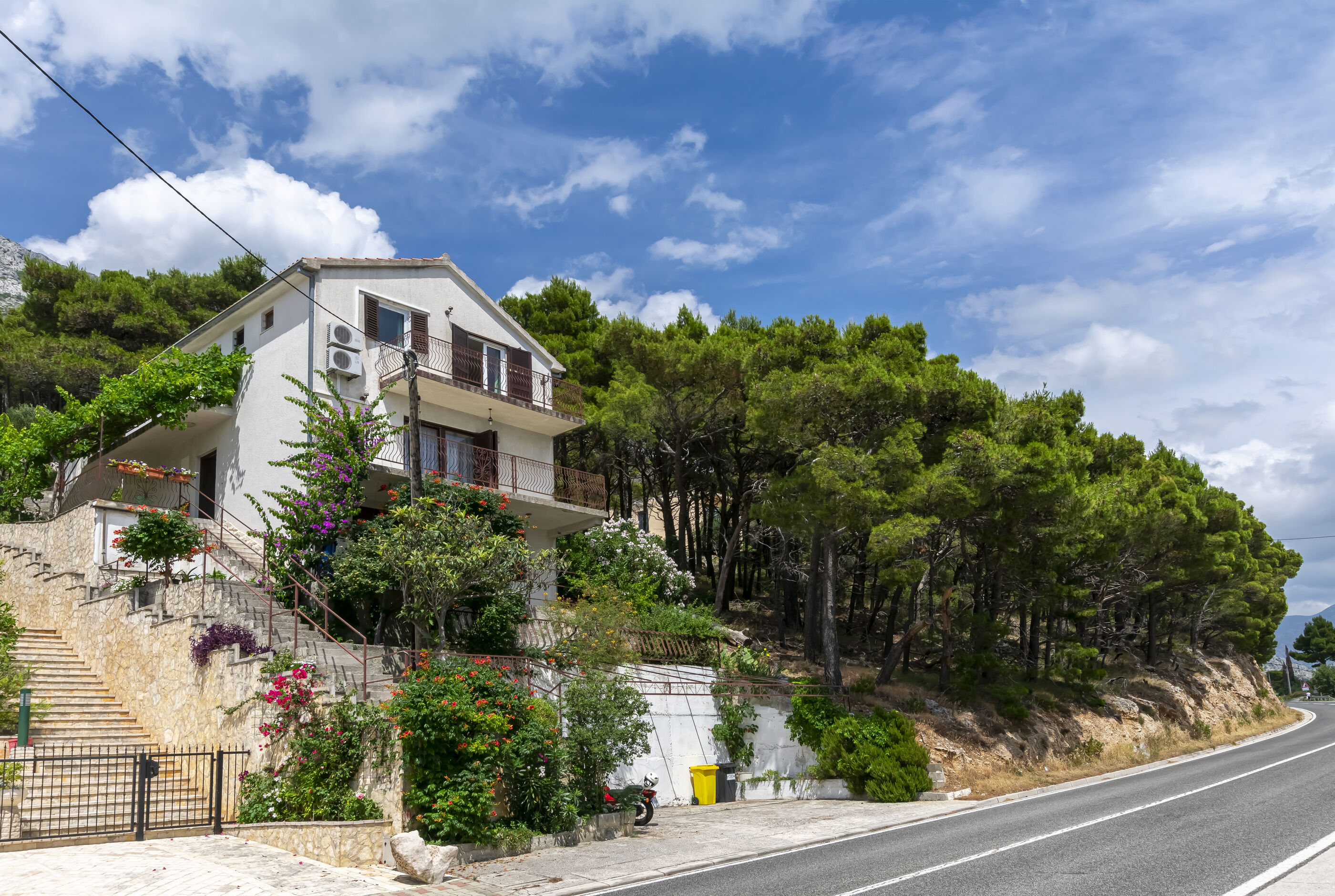 Apartments Andi 113681-A1
