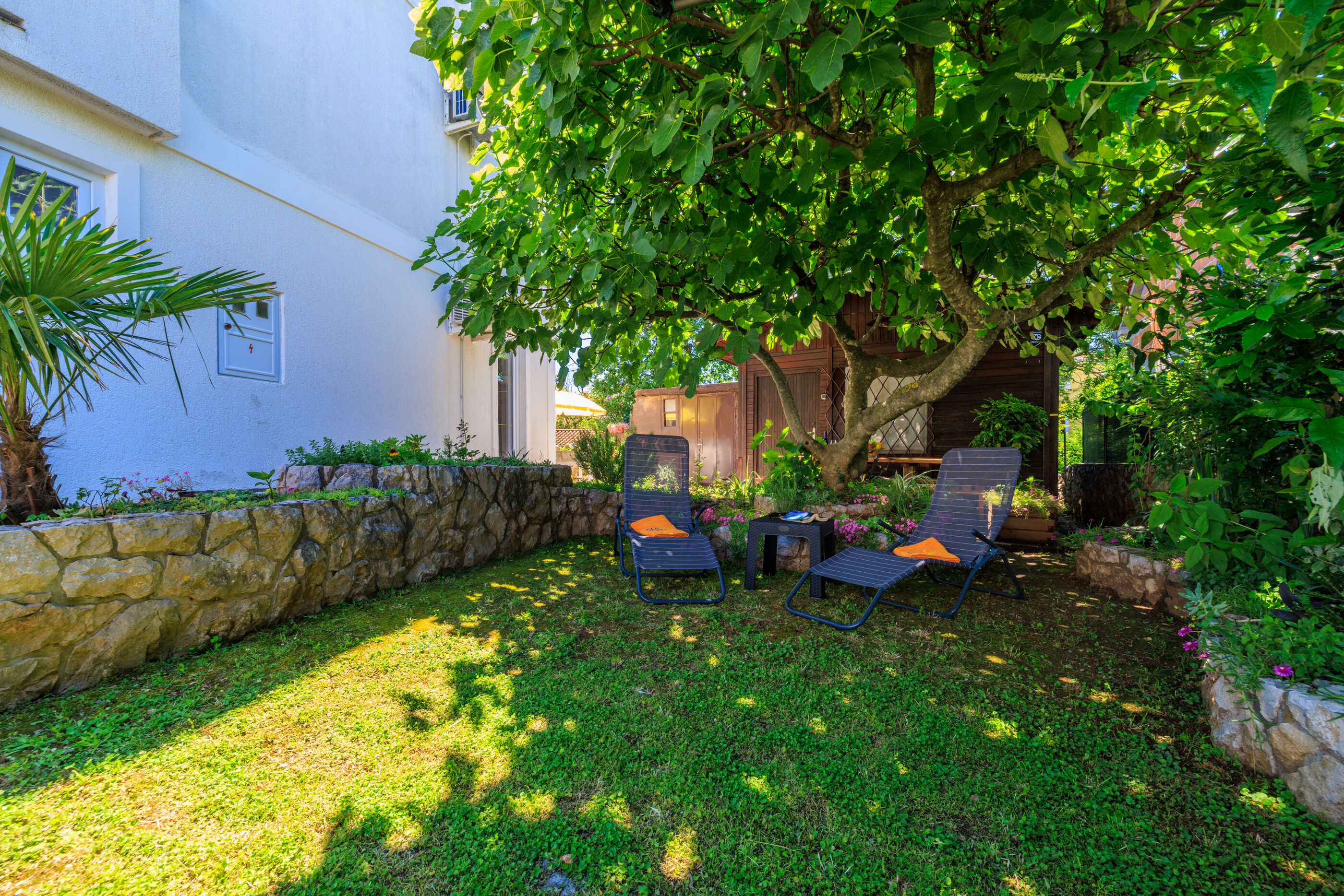 Apartment Lokvica 101471-A1