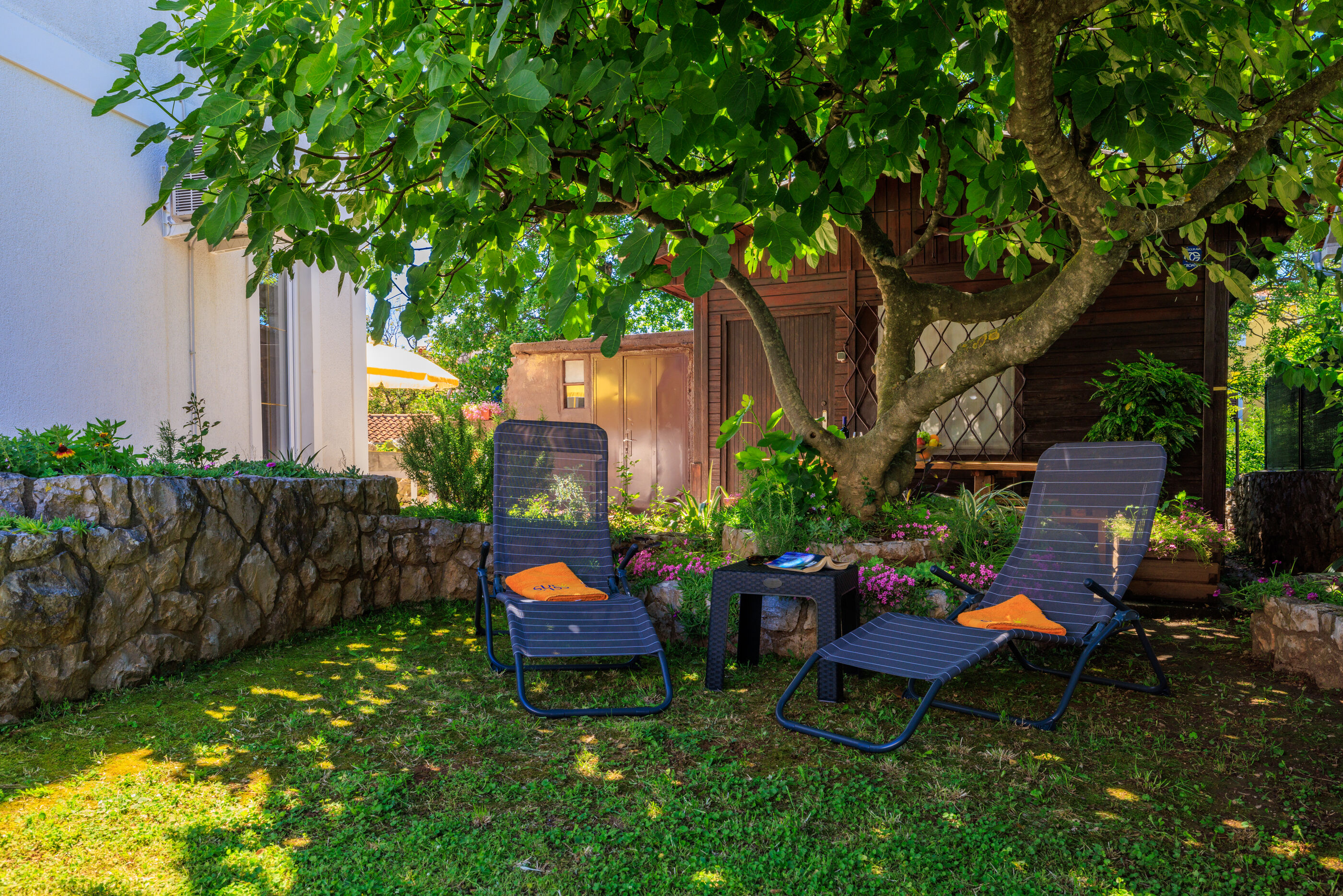 Apartment Lokvica 101471-A1