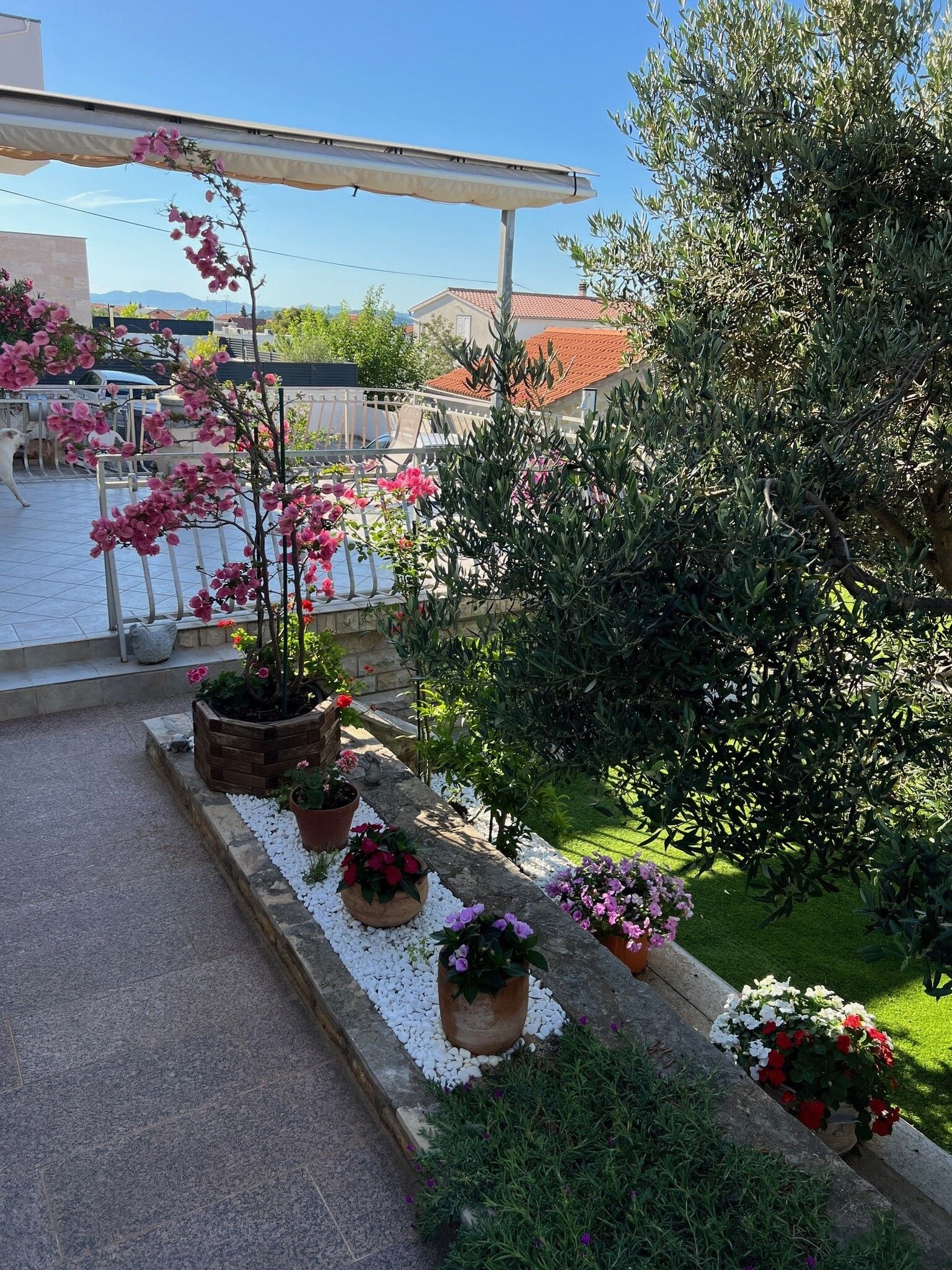 Apartment Blumen Garten 73001-A1