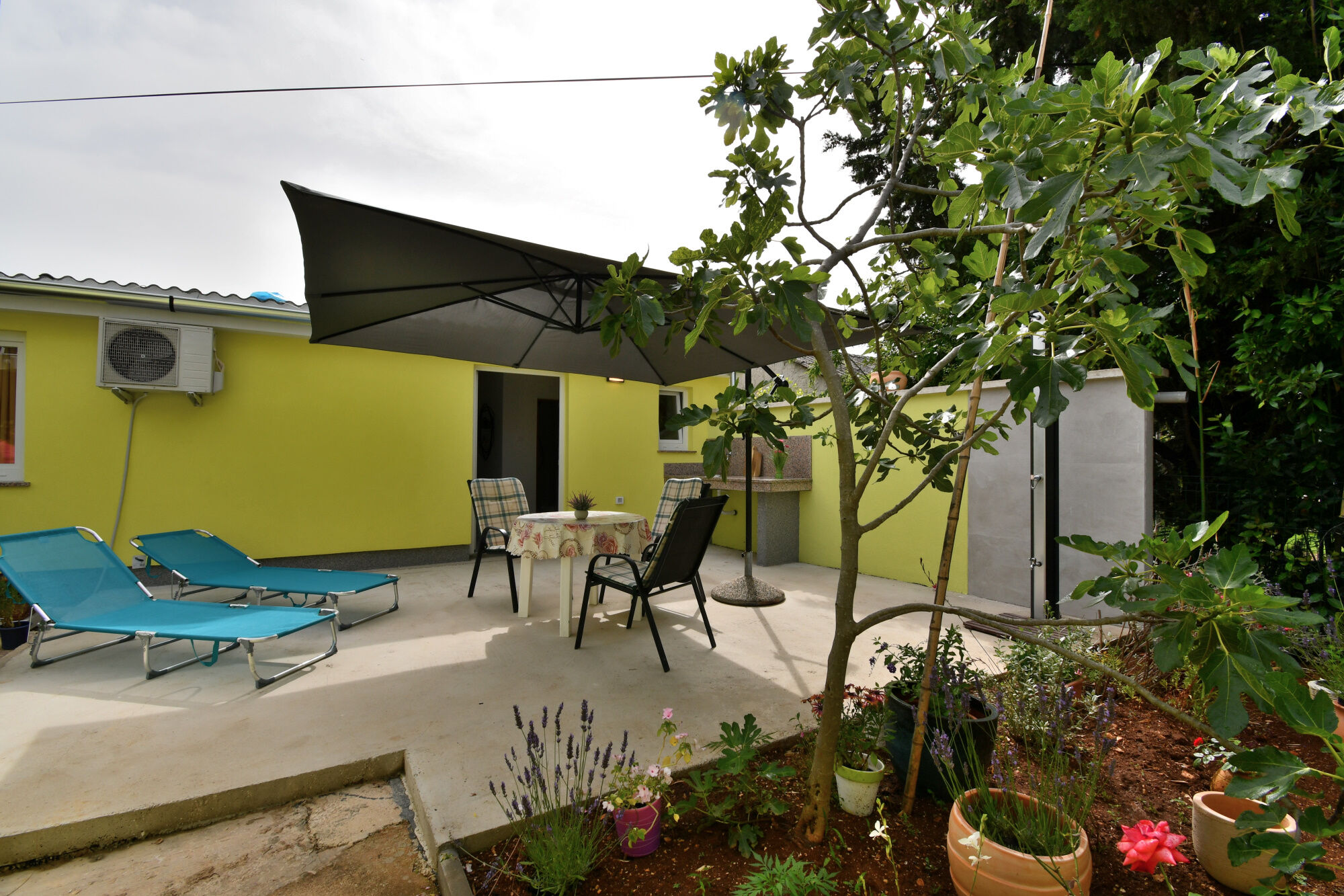 Apartment Cozy garden 113871-A1