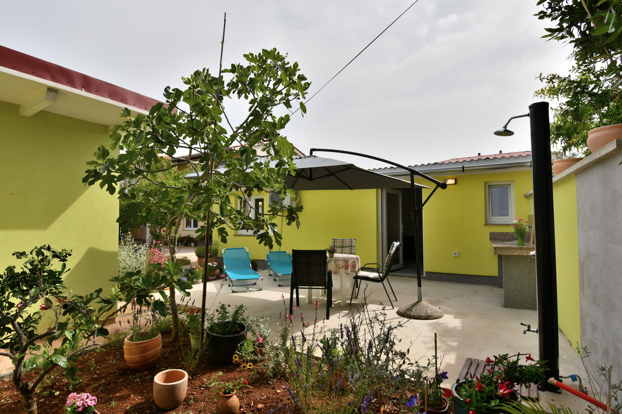Apartment Cozy garden 113871-A1