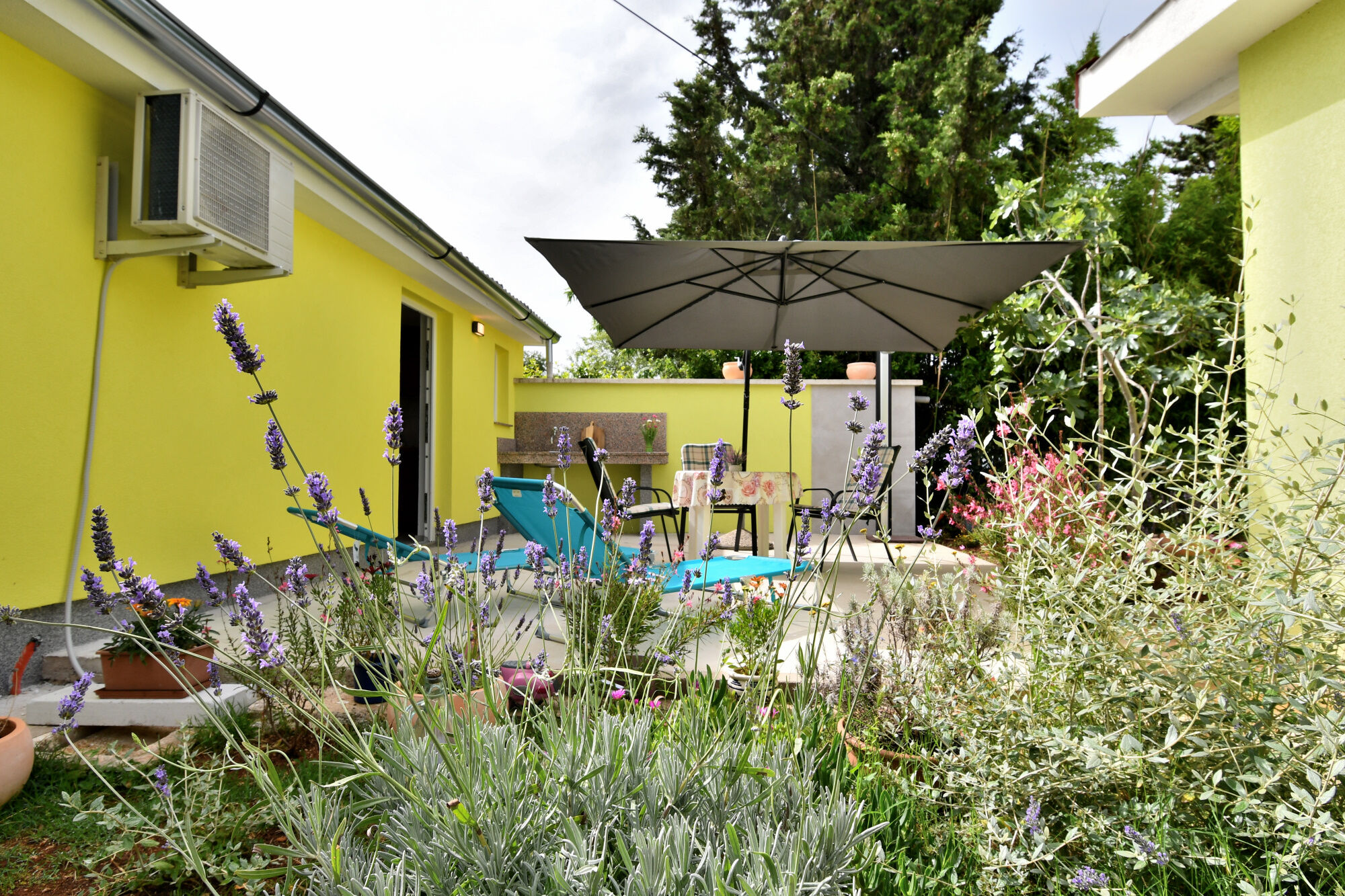 Apartment Cozy garden 113871-A1