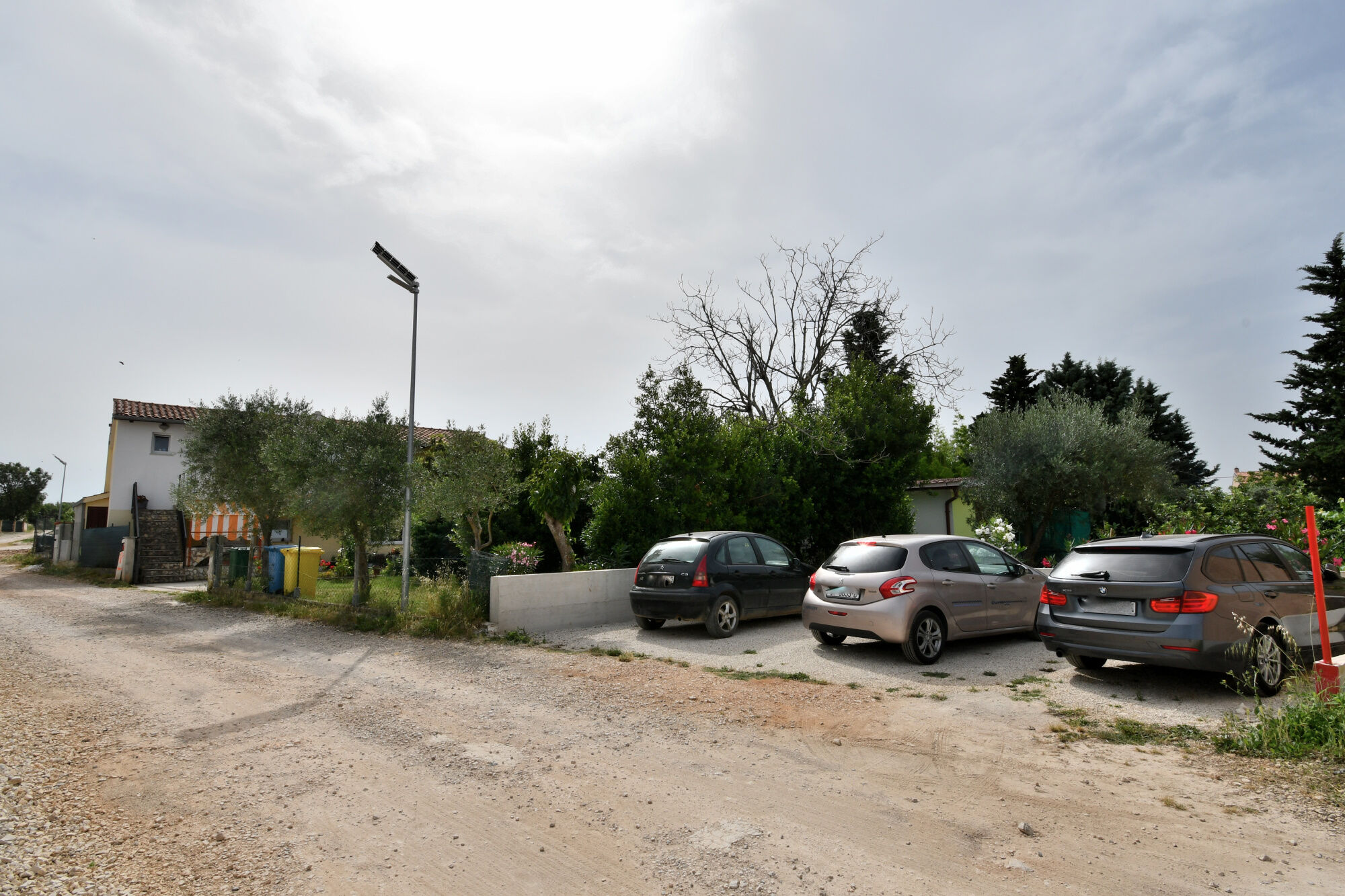 Photo of Apartment Cozy garden