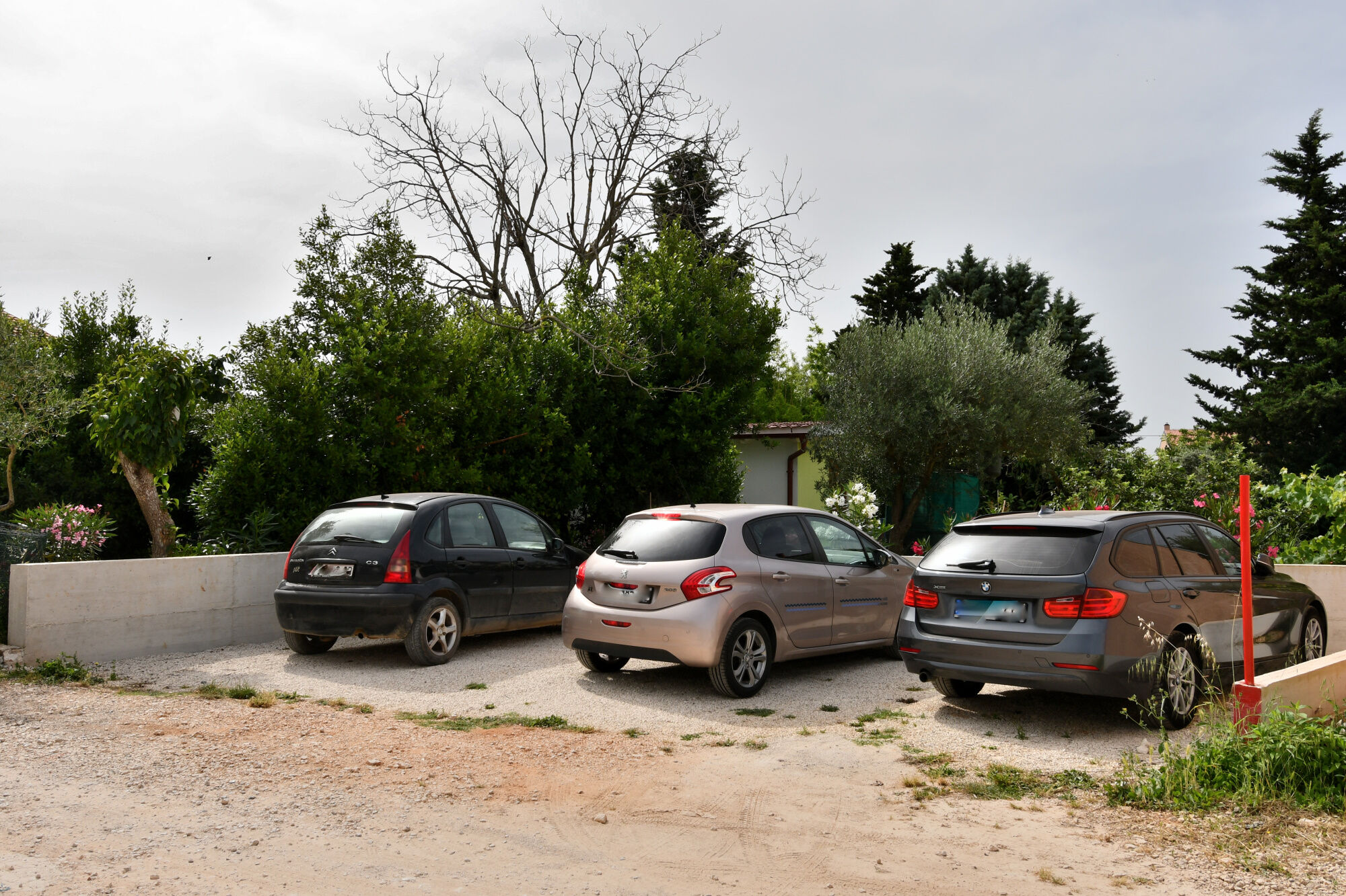 Photo of Apartment Cozy garden