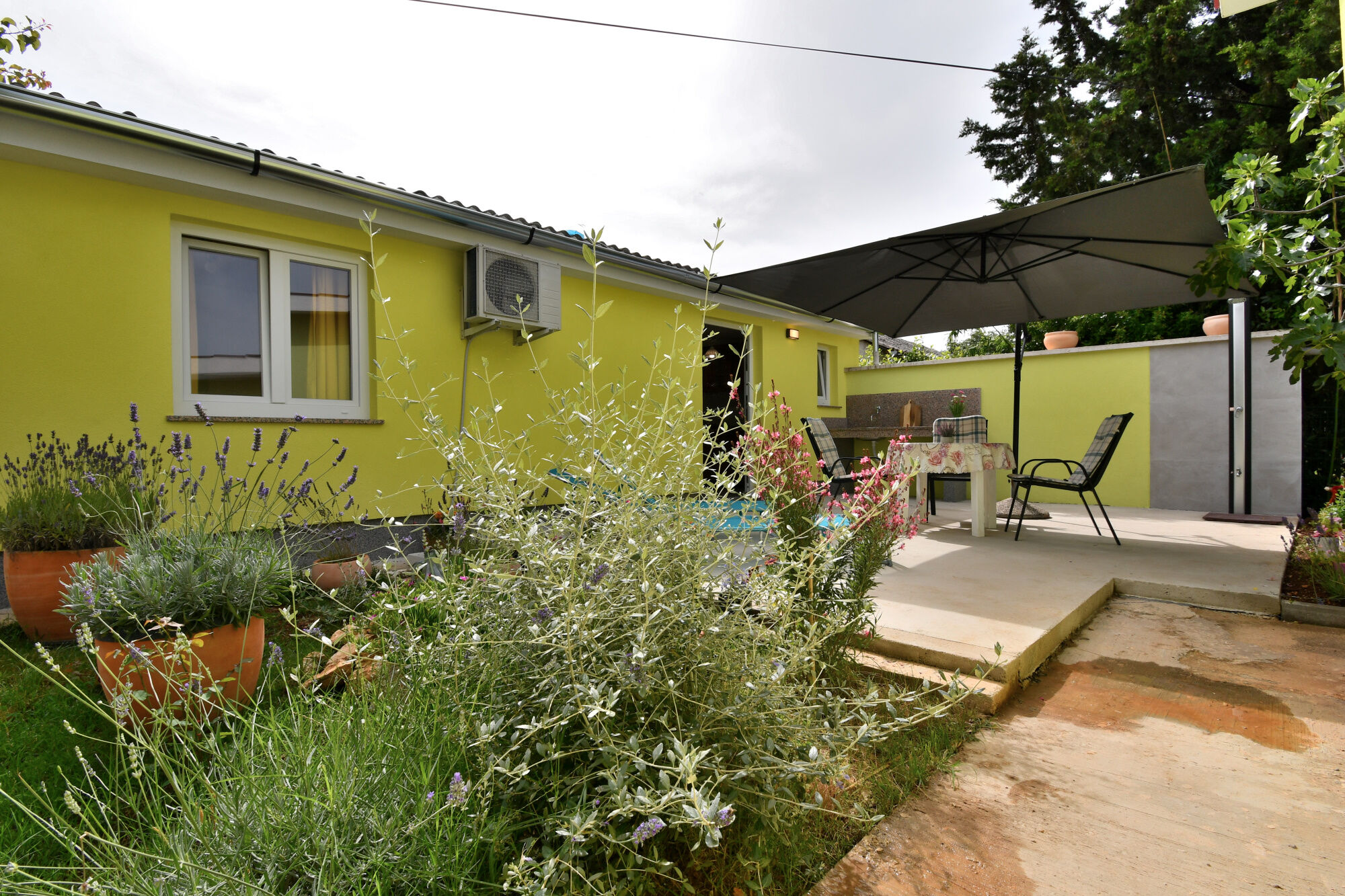 Apartment Cozy garden 113871-A1