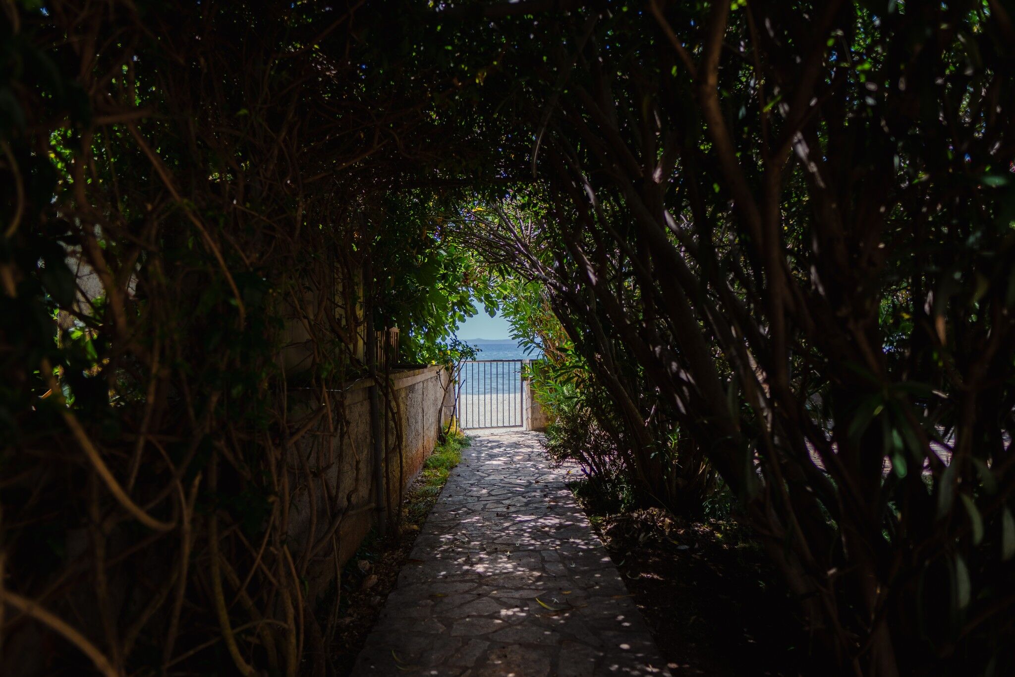 Photo of Apartments Bozena