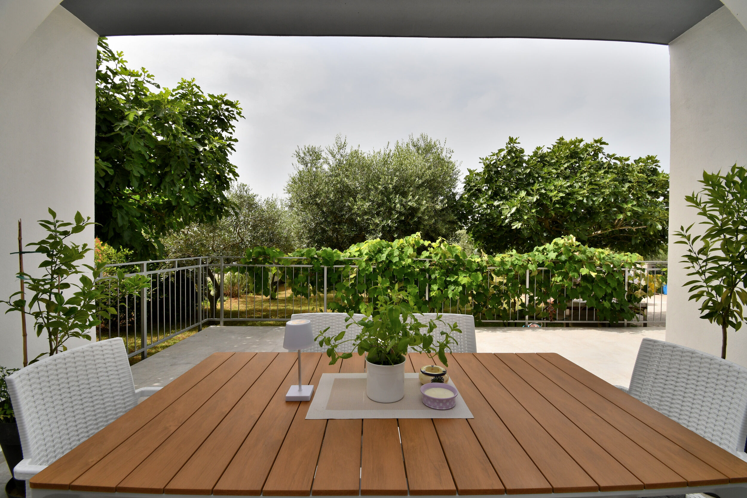 Apartment Mediteraneo 57931-A1