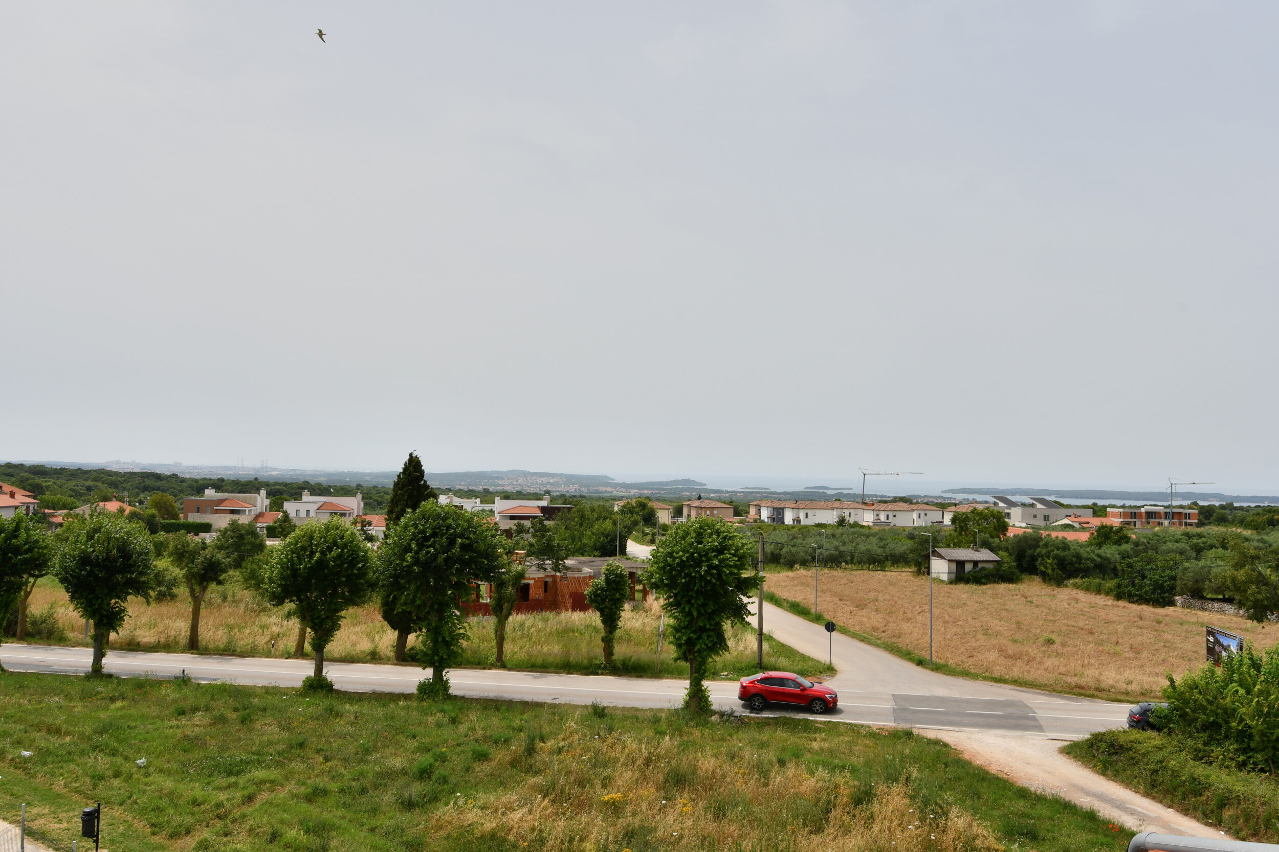 Apartment Bellevue 113881-A1