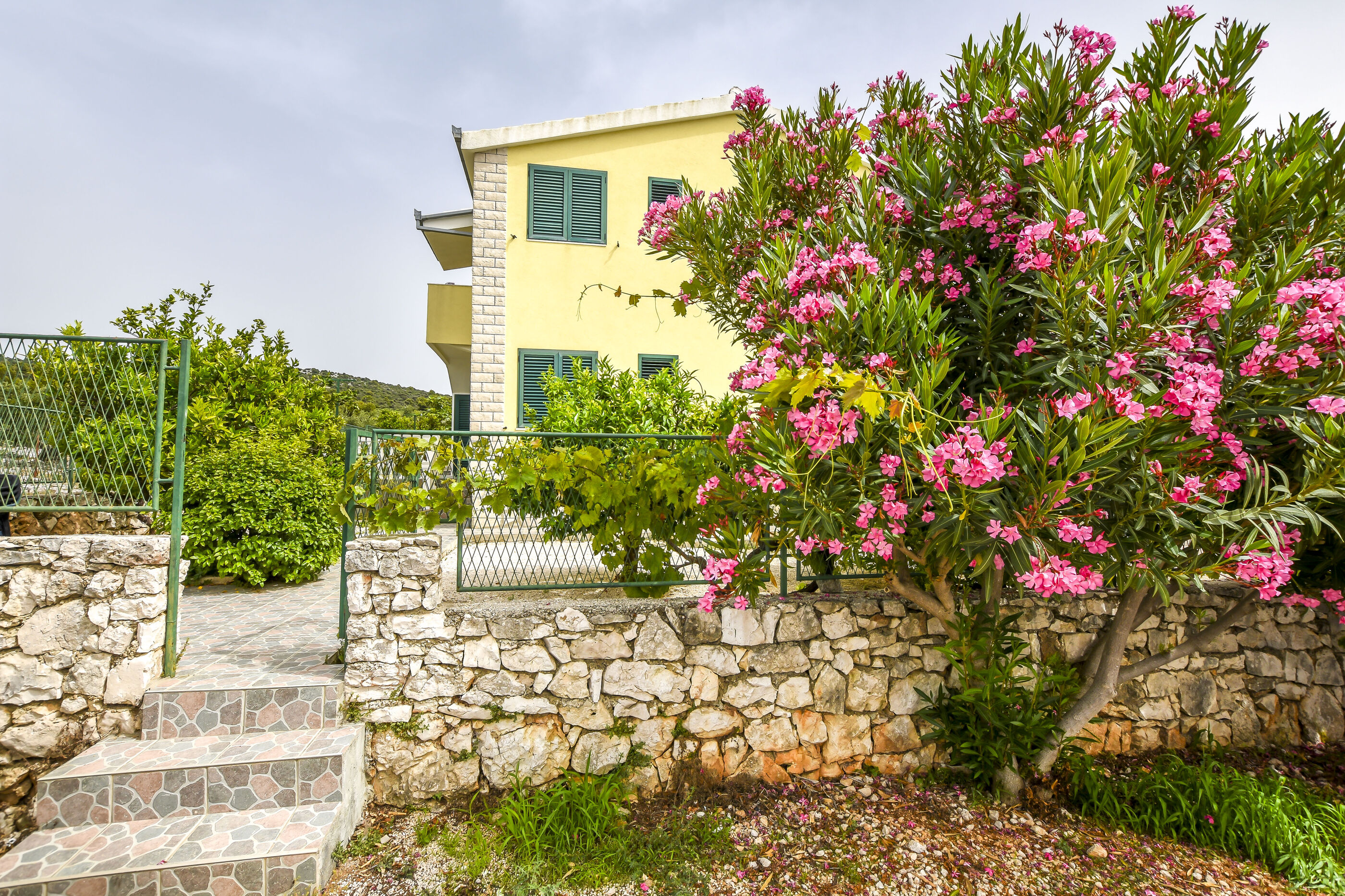 Apartments Josipa 113901-A1