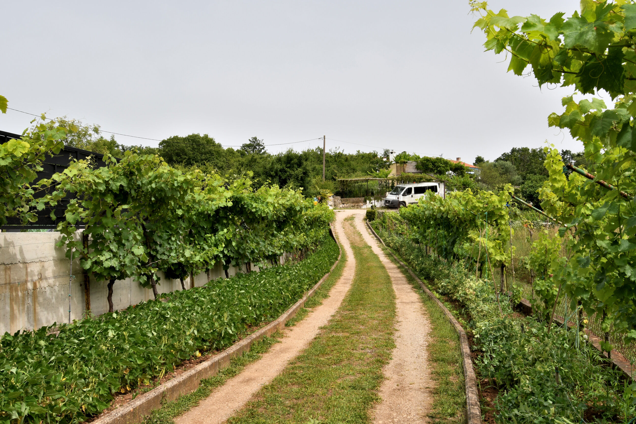 Photo of House Gioia Cristina