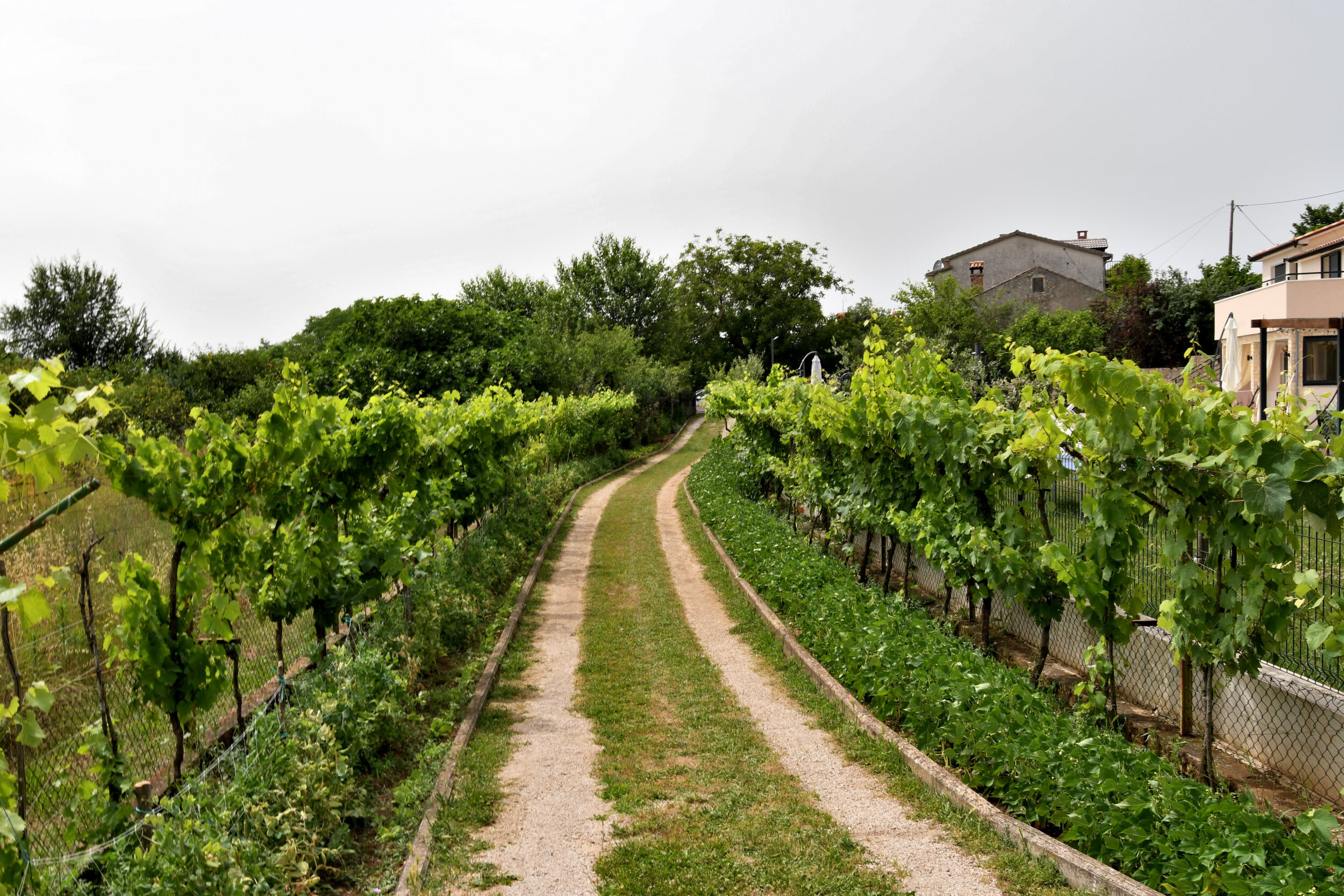 Photo of House Gioia Cristina